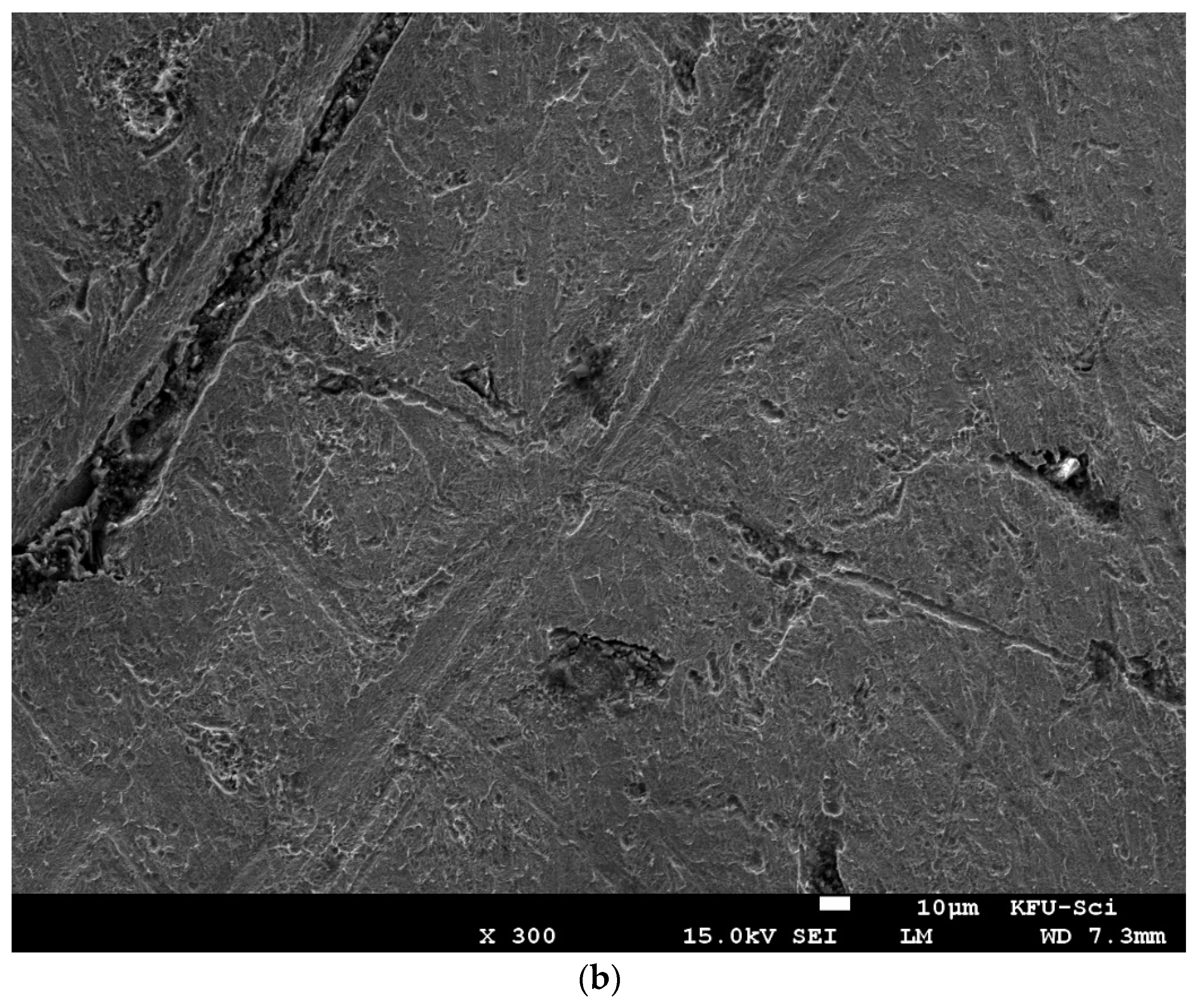 Molecules 27 07250 g013b