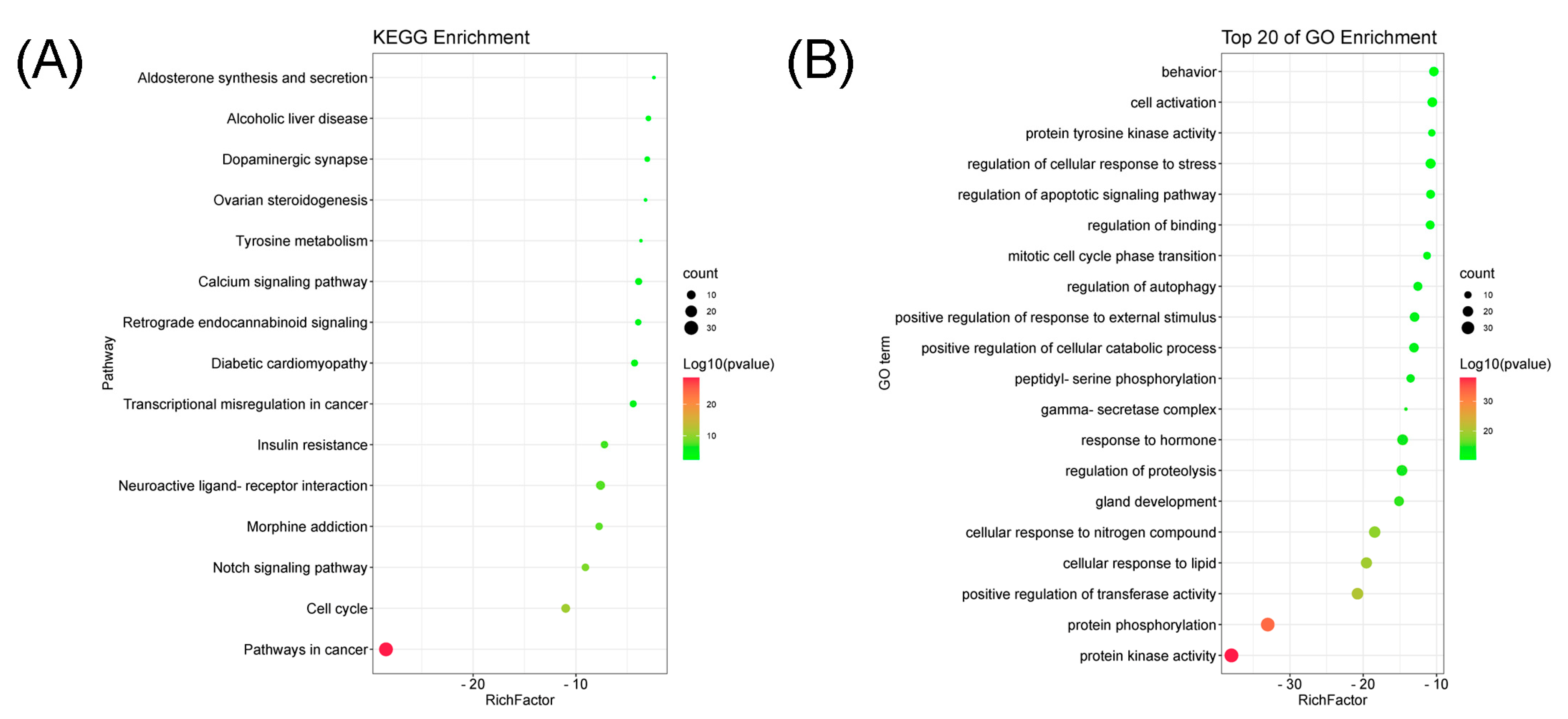Molecules 27 07253 g006
