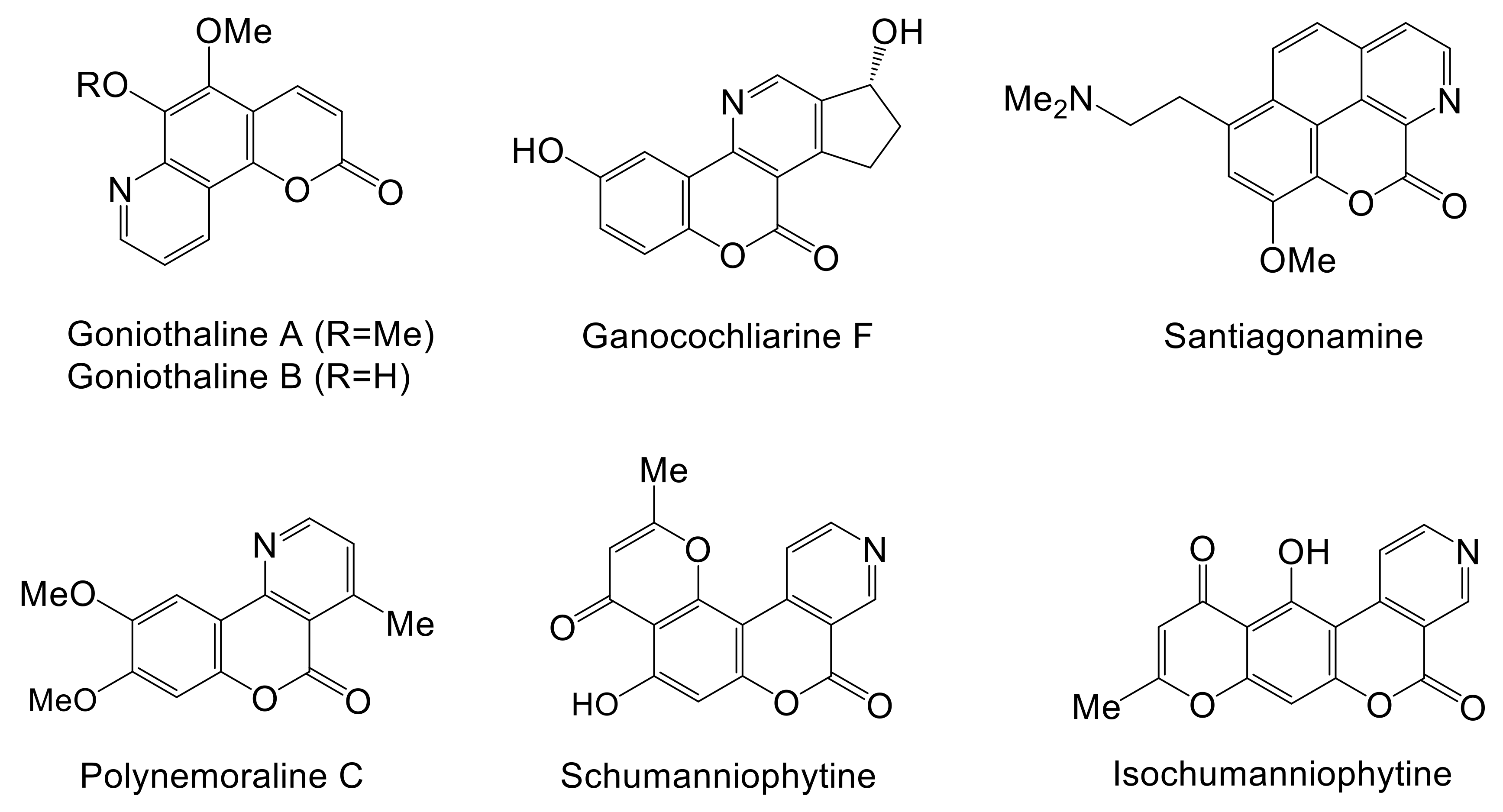 Molecules 27 07256 g001 Molecules 27 07256 g001