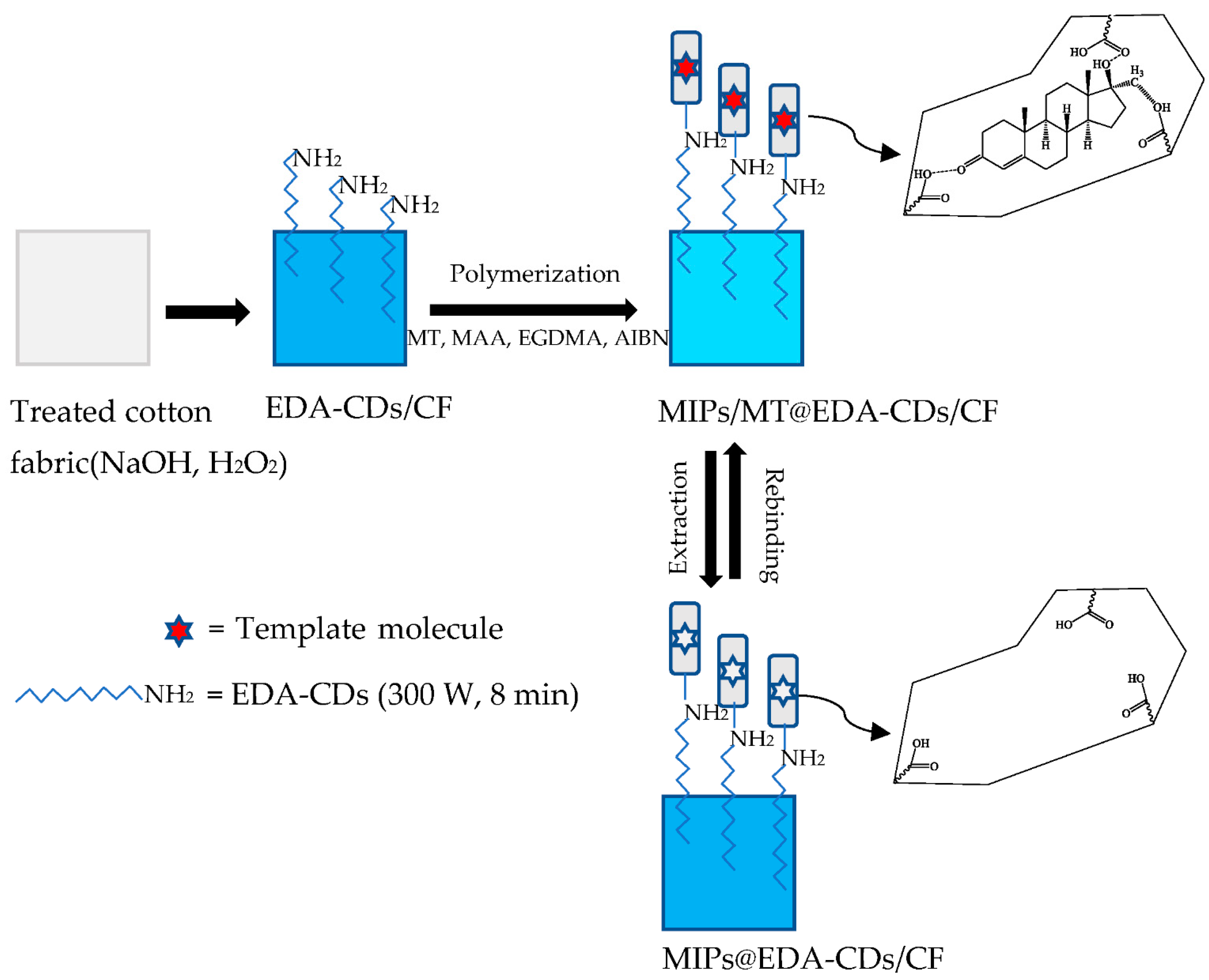 Molecules 27 07257 g003