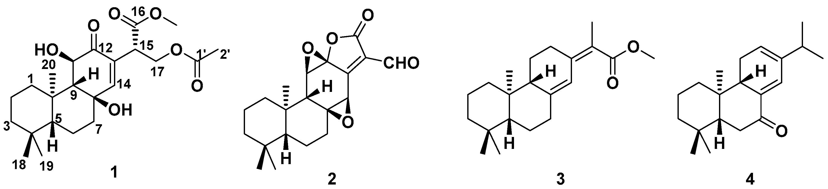 Molecules 27 07258 g001