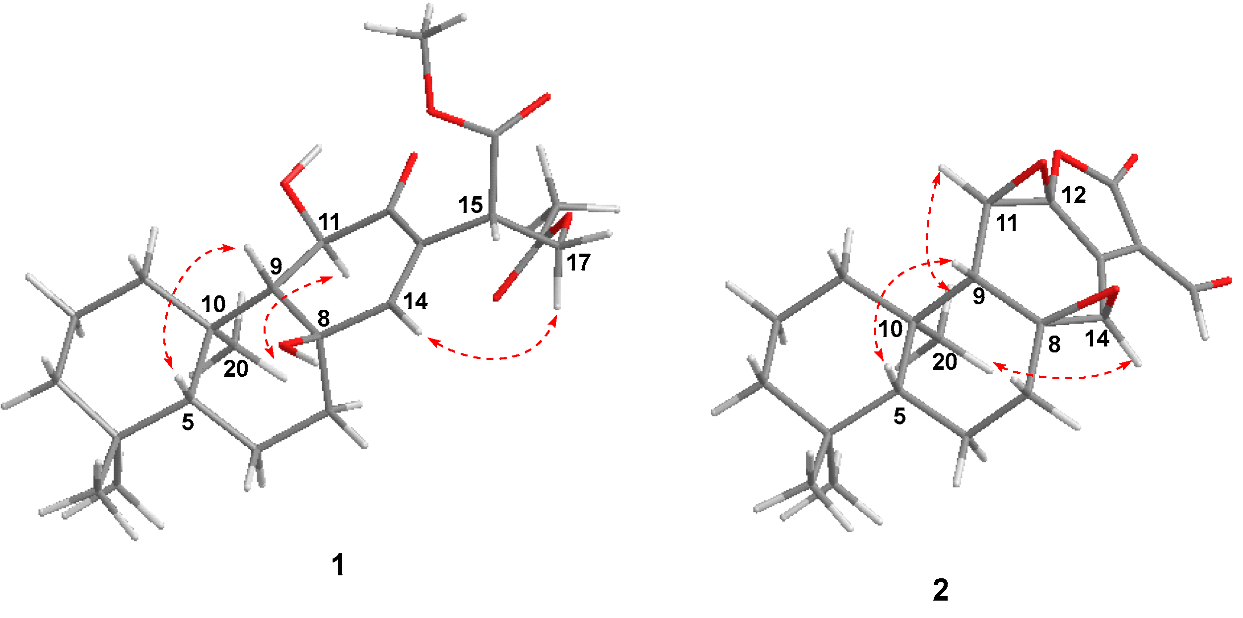 Molecules 27 07258 g003