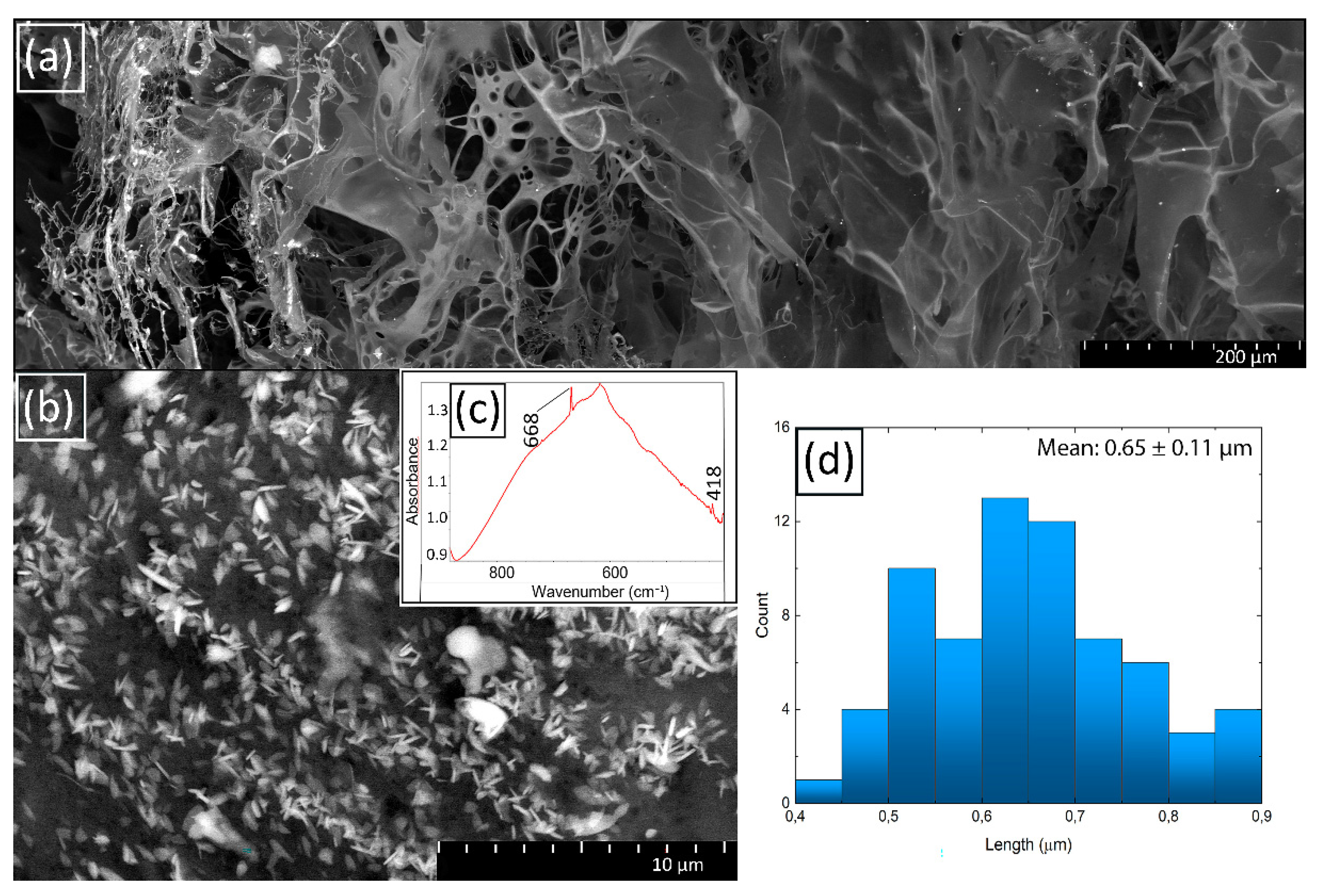 Molecules 27 07261 g008