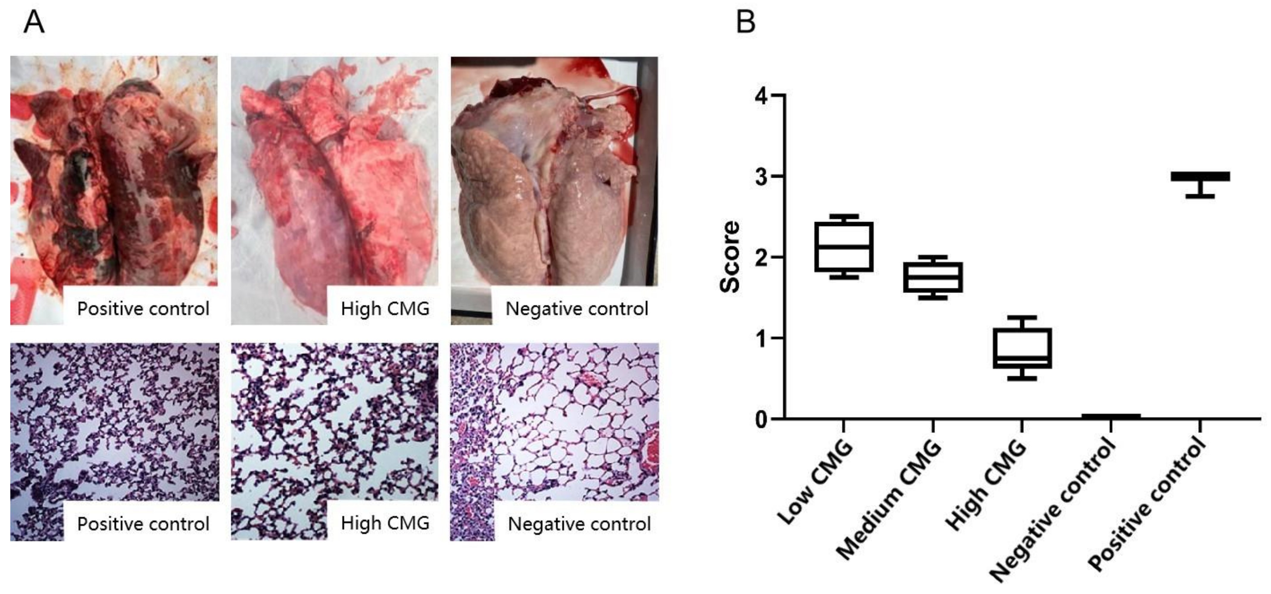Molecules 27 07263 g005