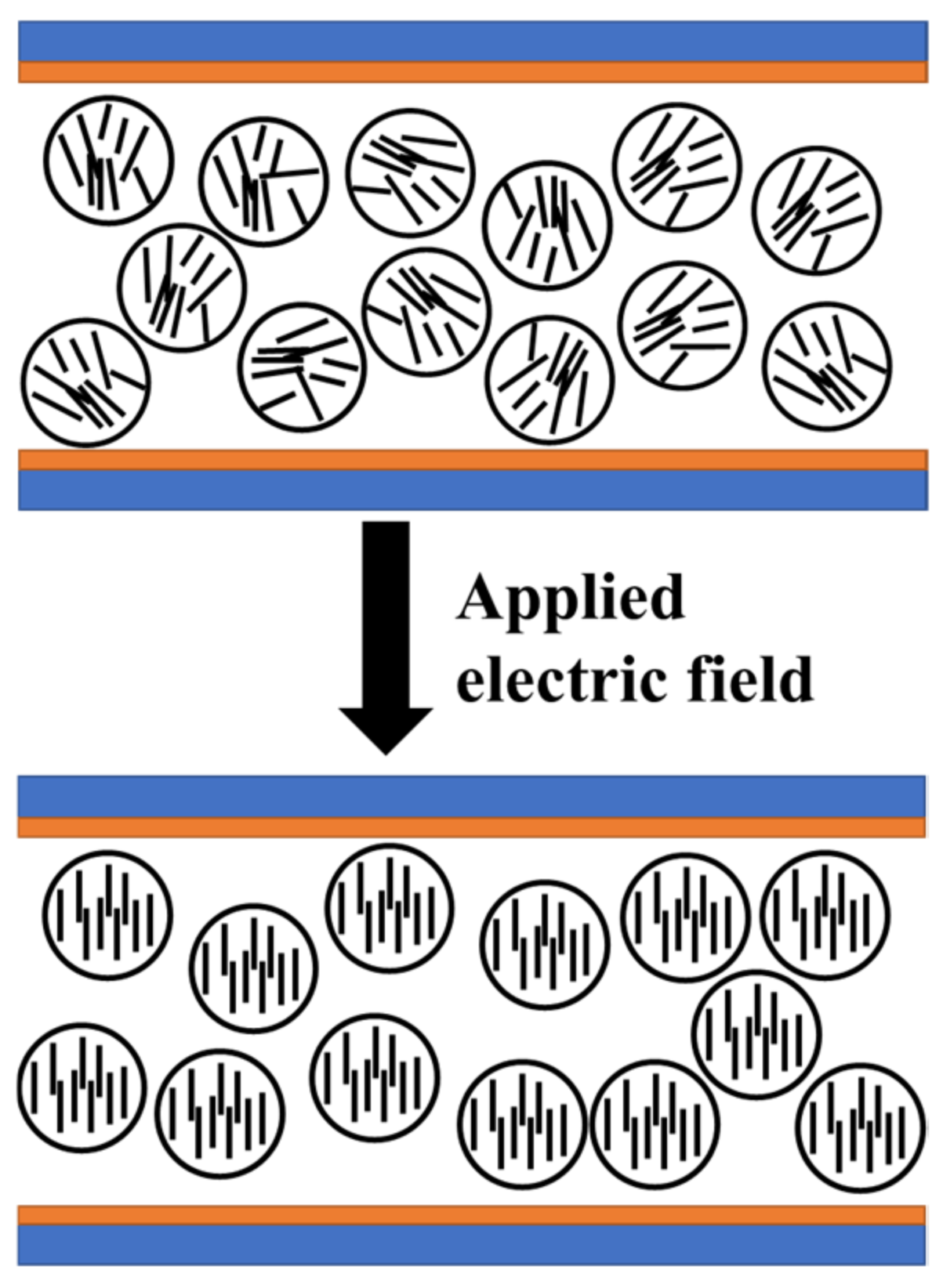 Molecules 27 07265 g002