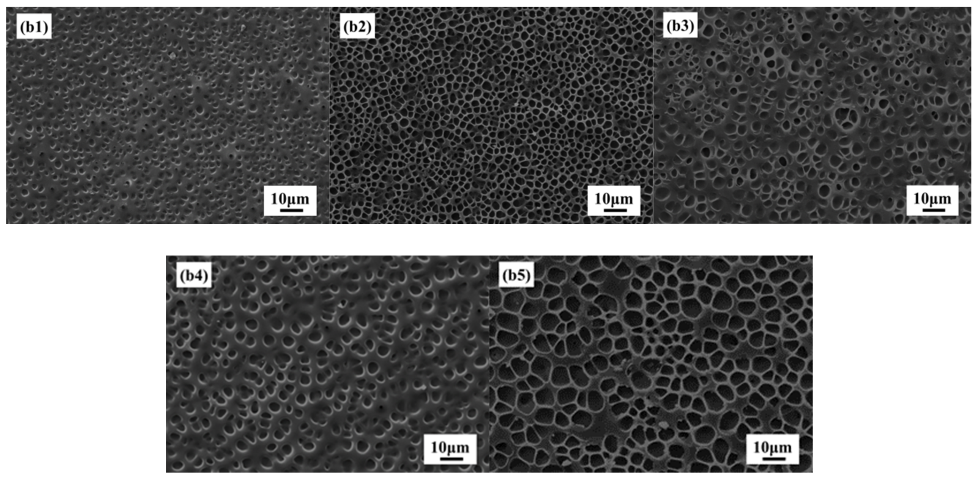 Molecules 27 07265 g005