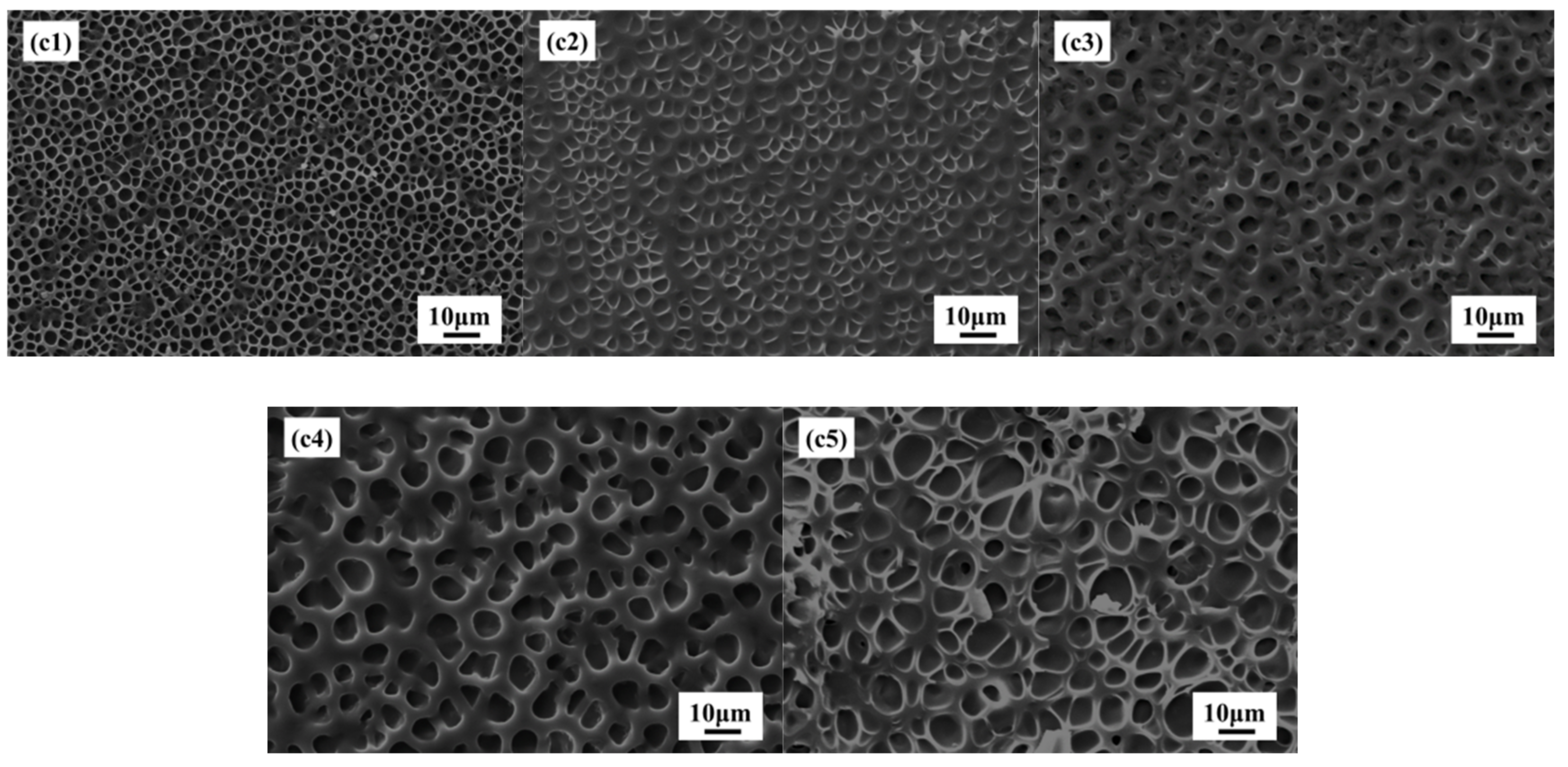 Molecules 27 07265 g007