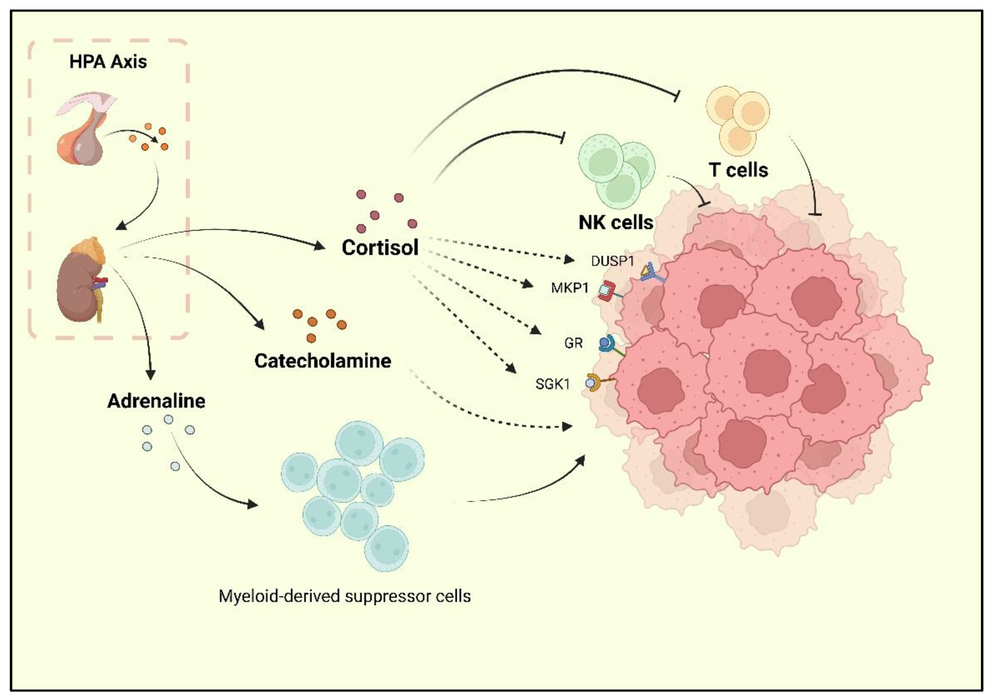 Molecules 27 07269 g001