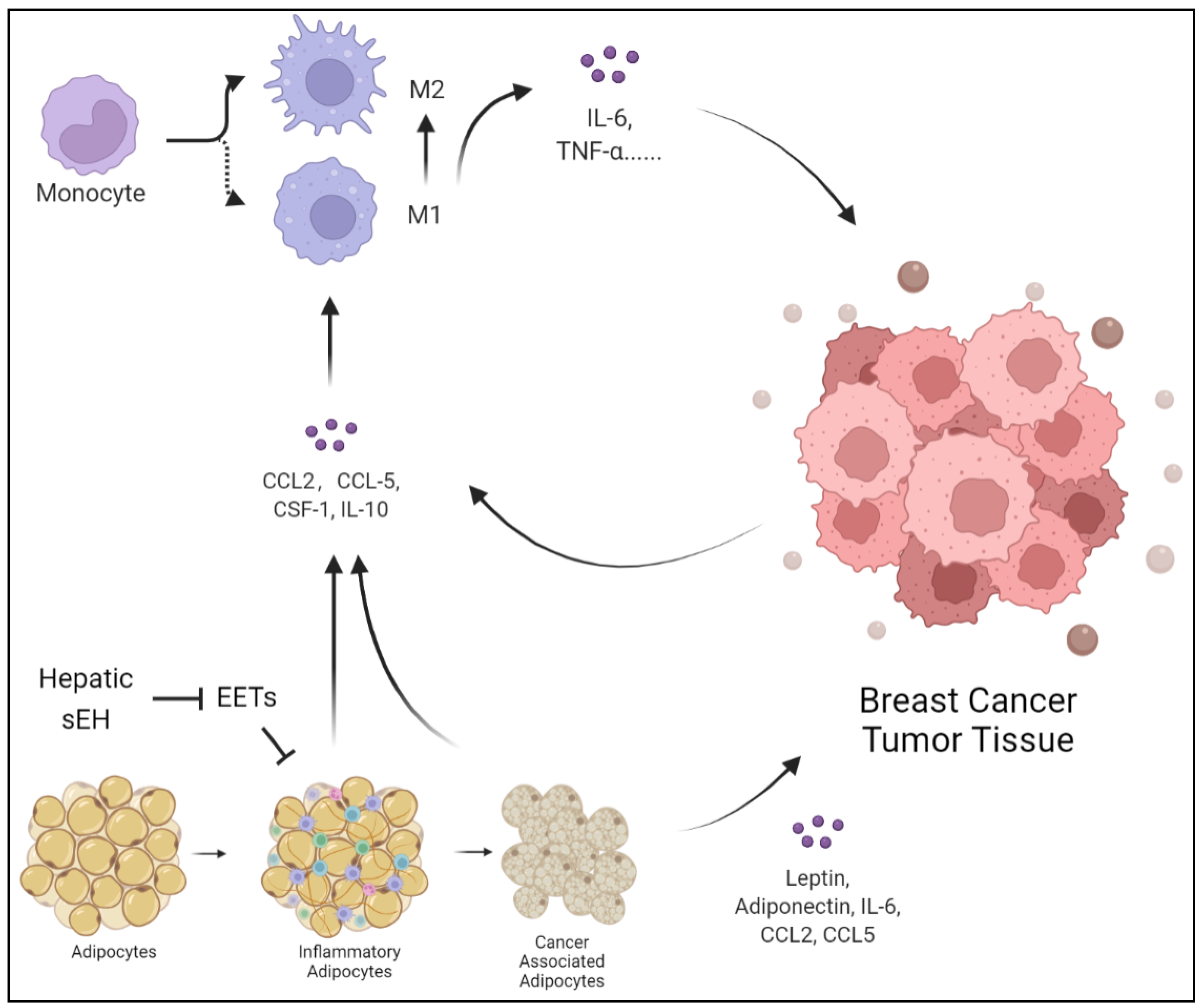 Molecules 27 07269 g002