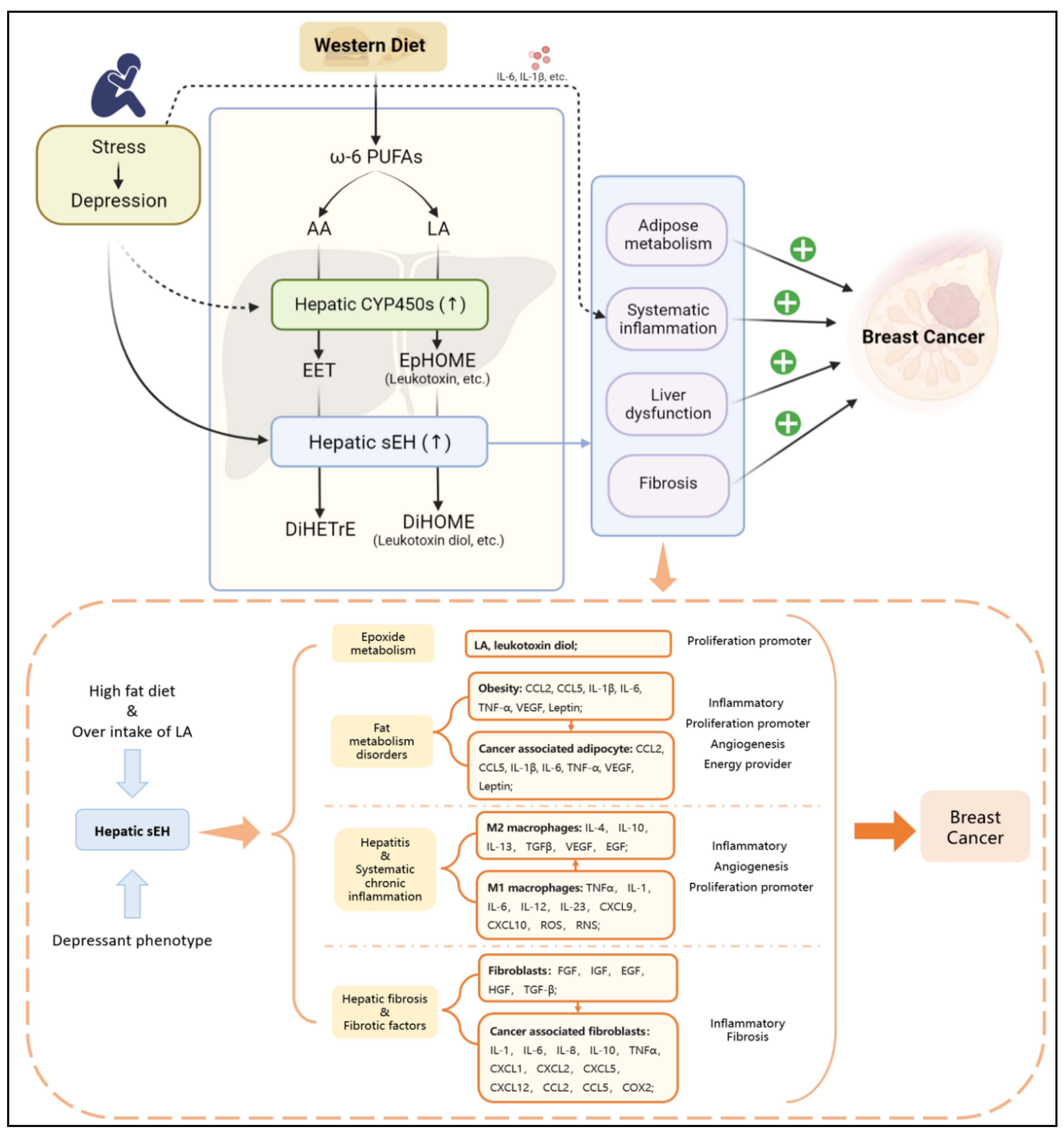 Molecules 27 07269 g003