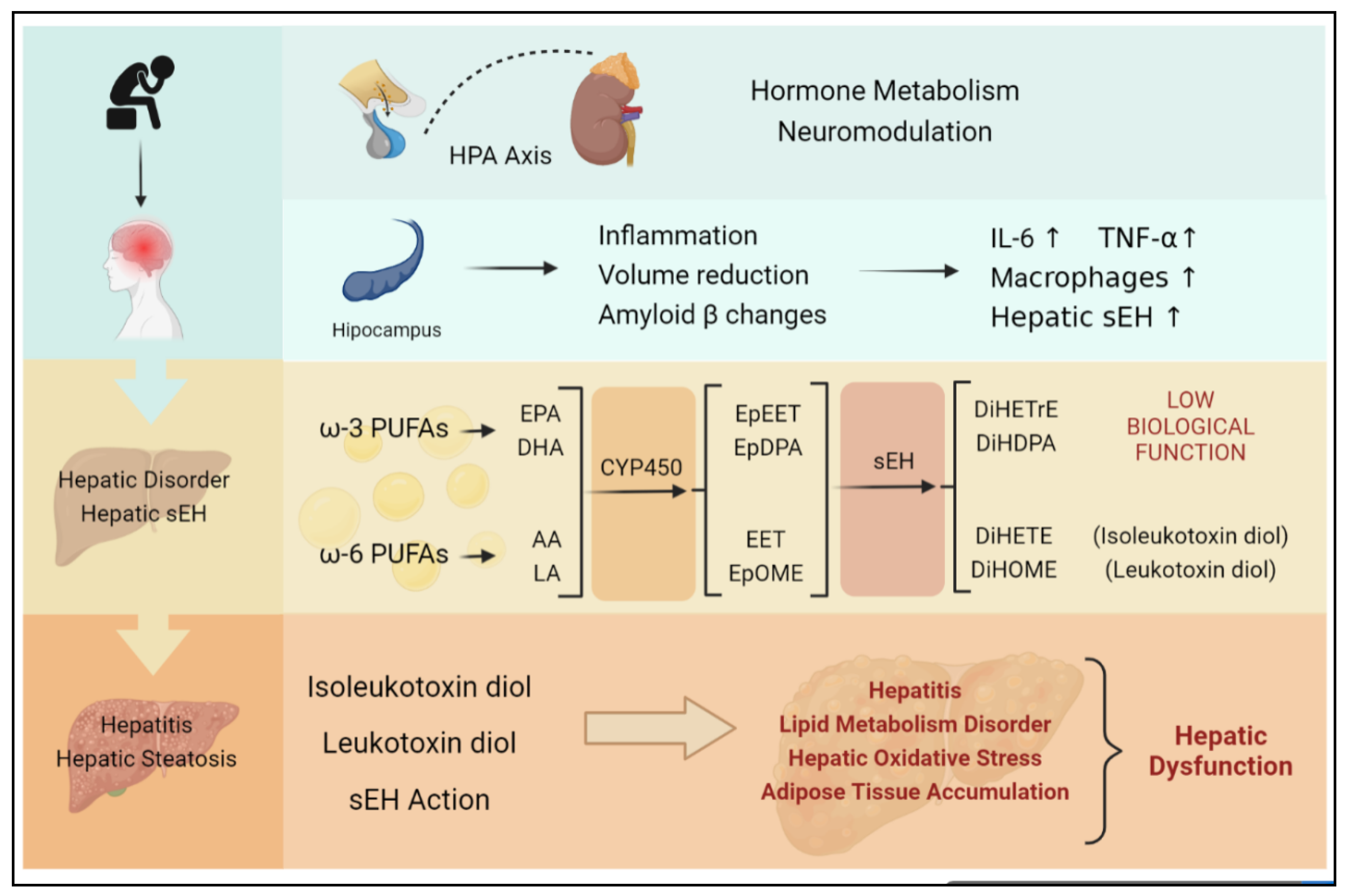 Molecules 27 07269 g004