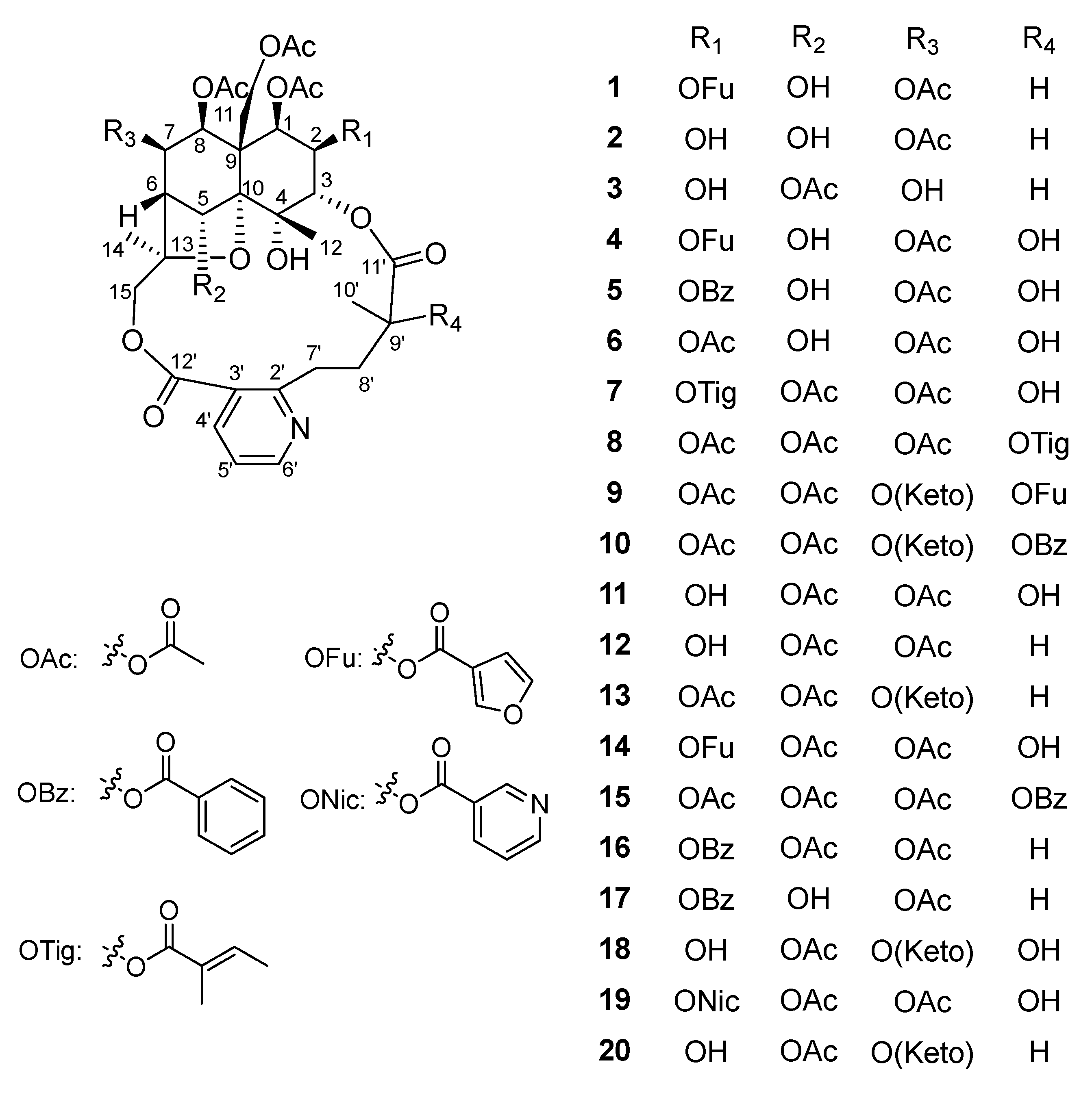Molecules 27 07274 g001
