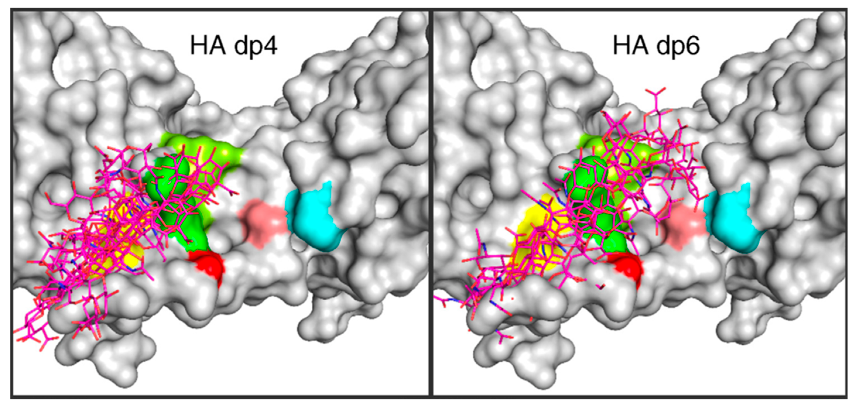 Molecules 27 07276 g006