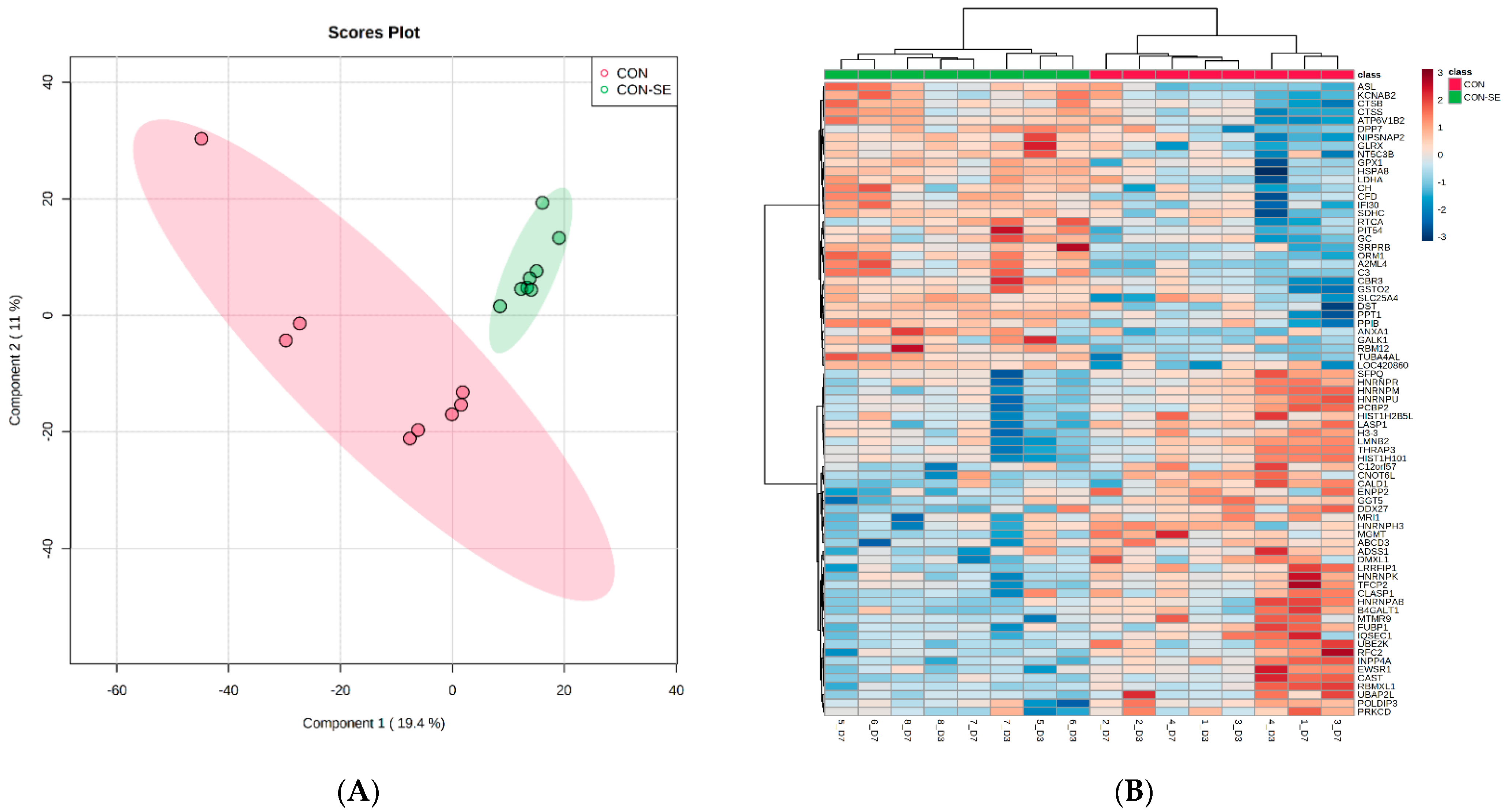 Molecules 27 07277 g001