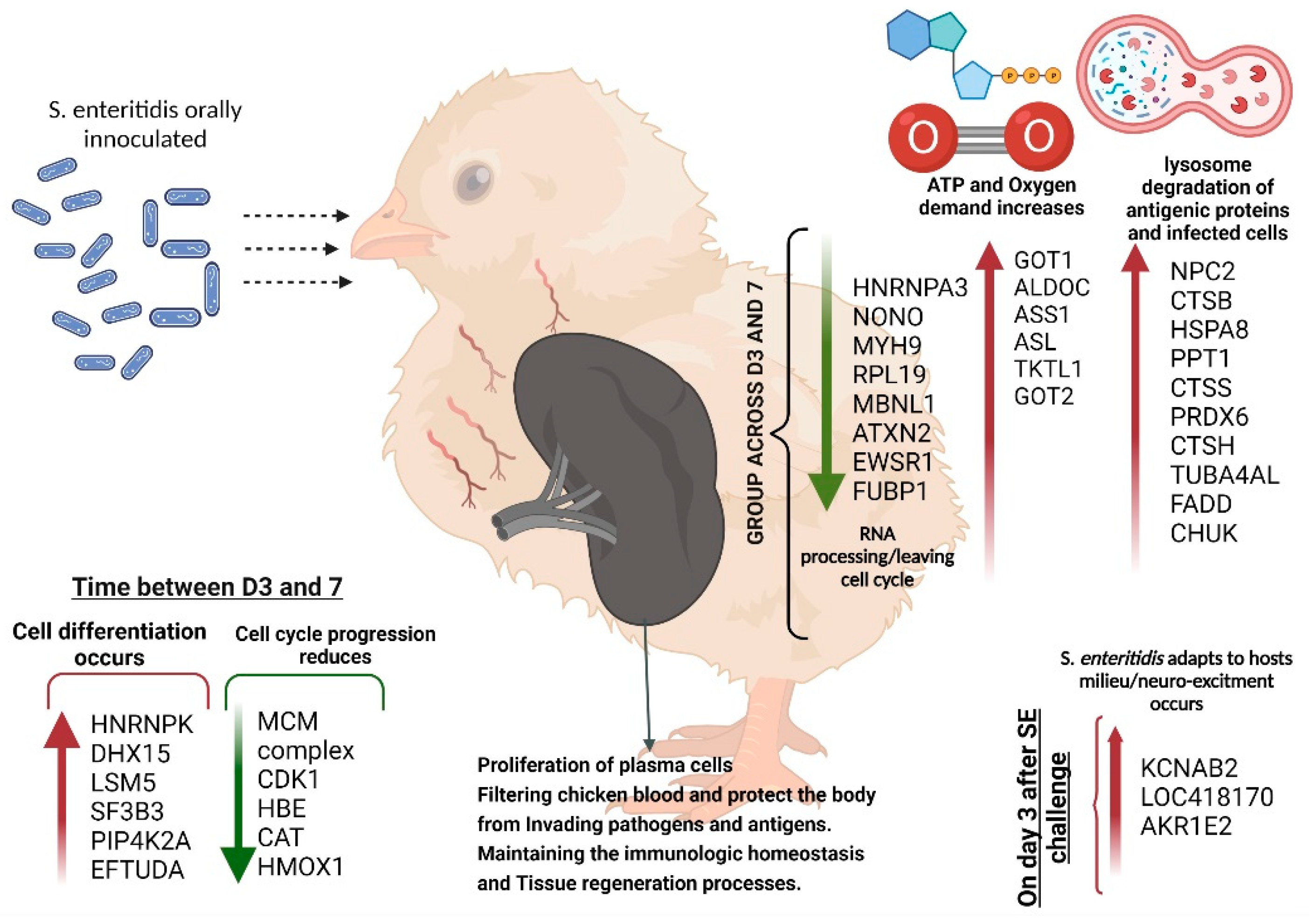 Molecules 27 07277 g002