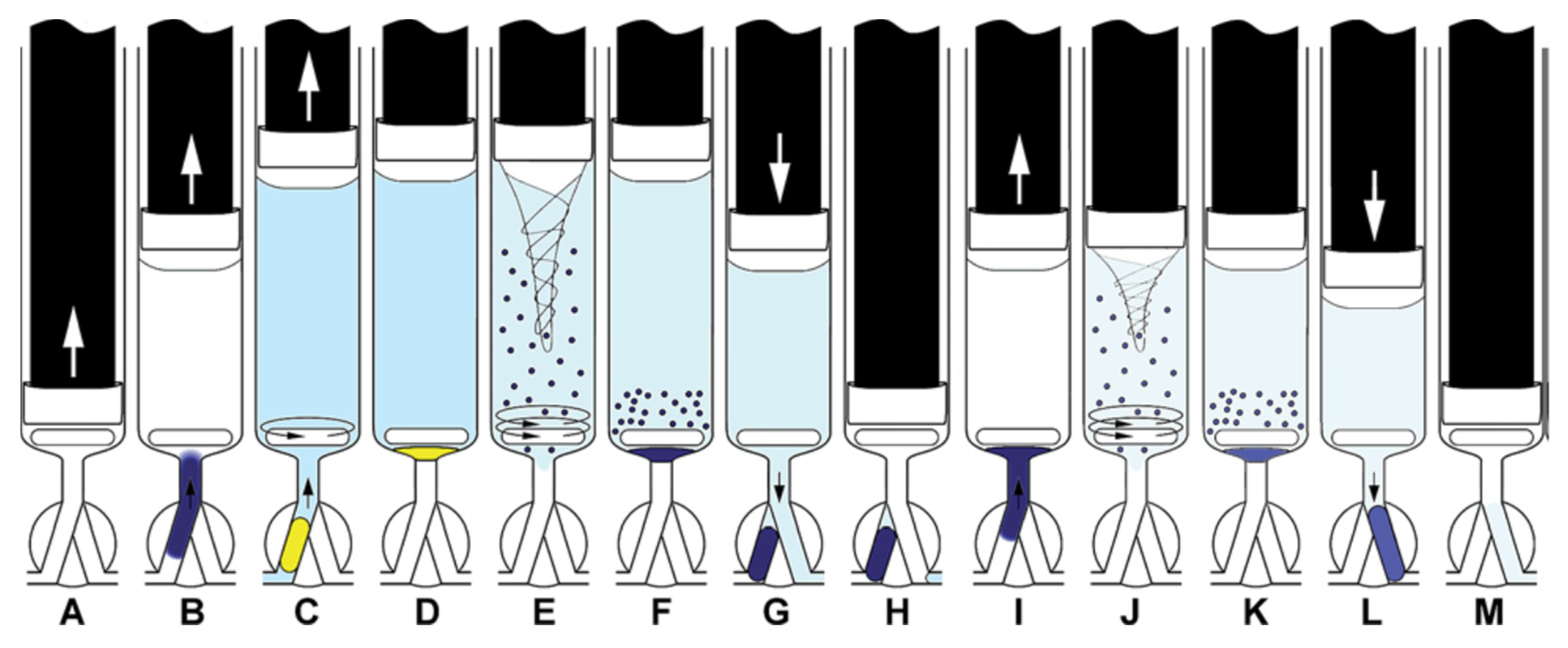 Molecules 27 07279 g007