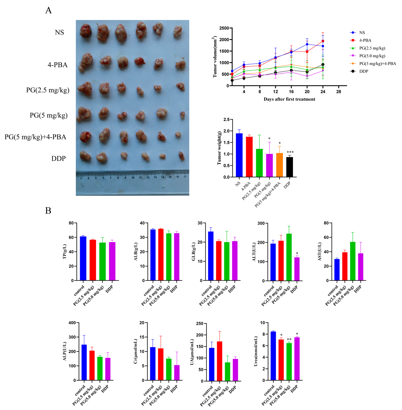 Molecules 27 07281 g006