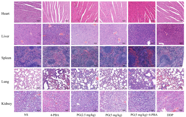 Molecules 27 07281 g007