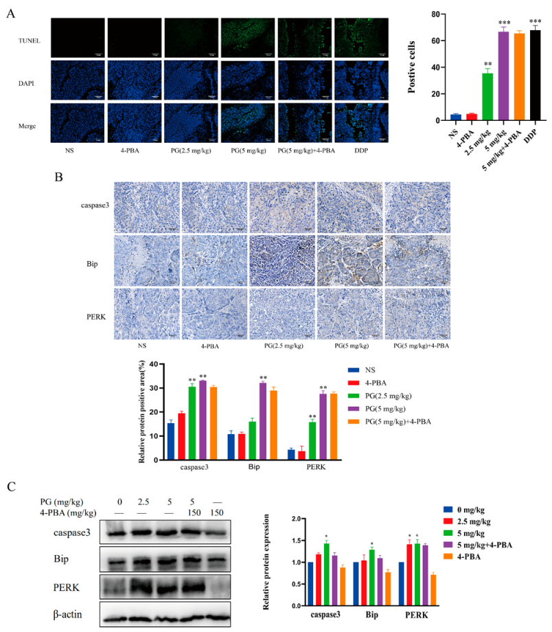 Molecules 27 07281 g008
