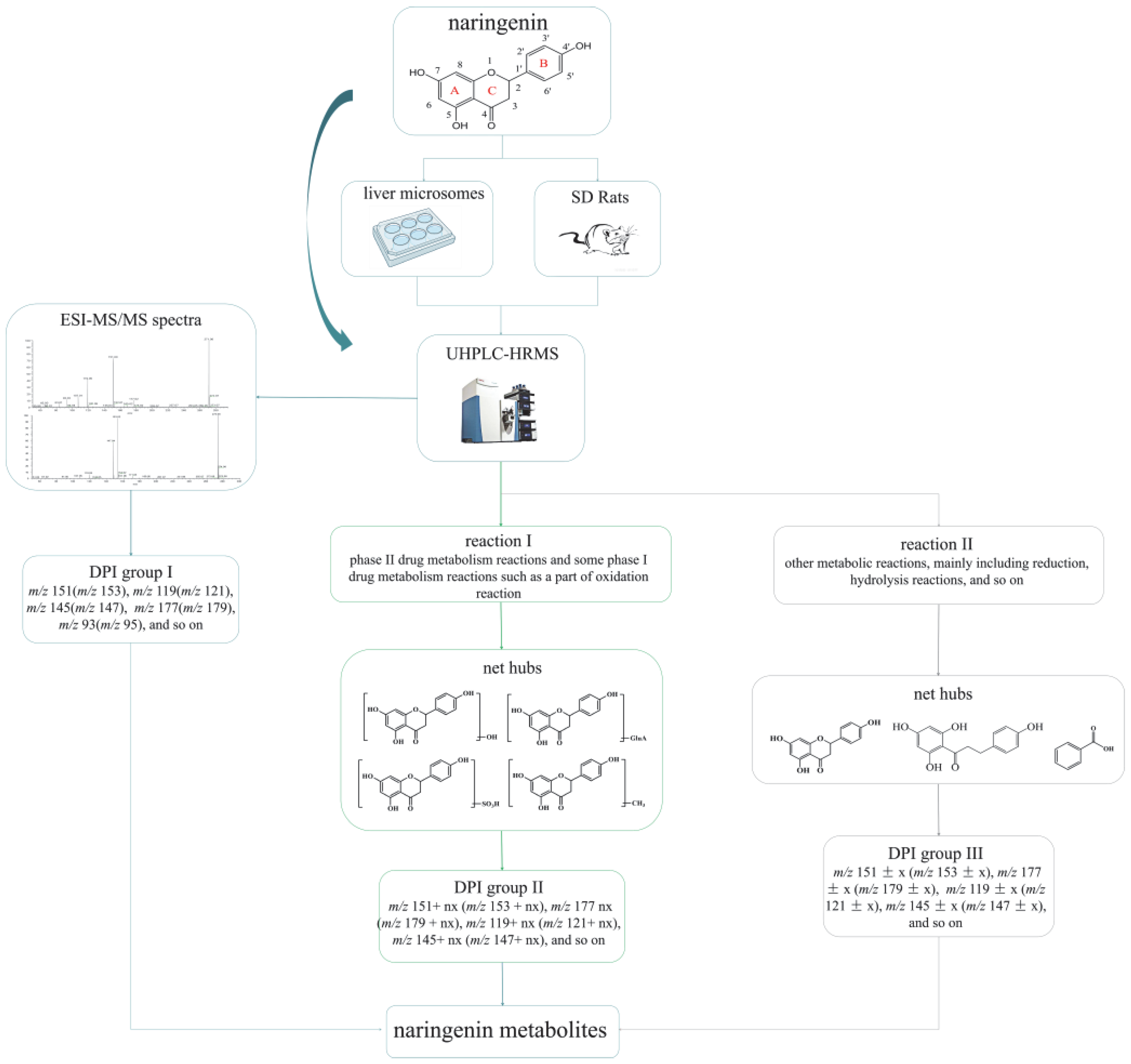 Molecules 27 07282 g001