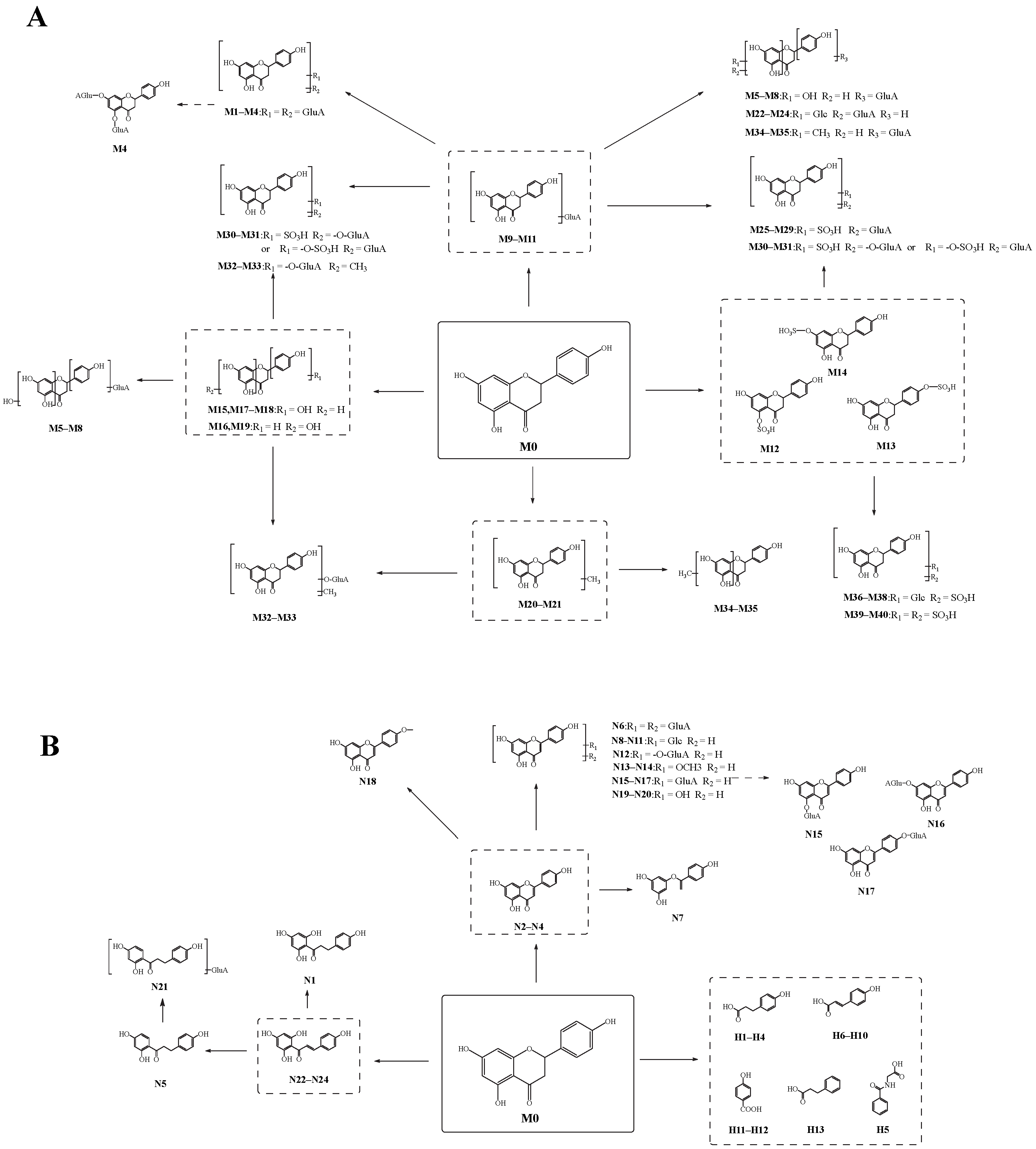 Molecules 27 07282 g005