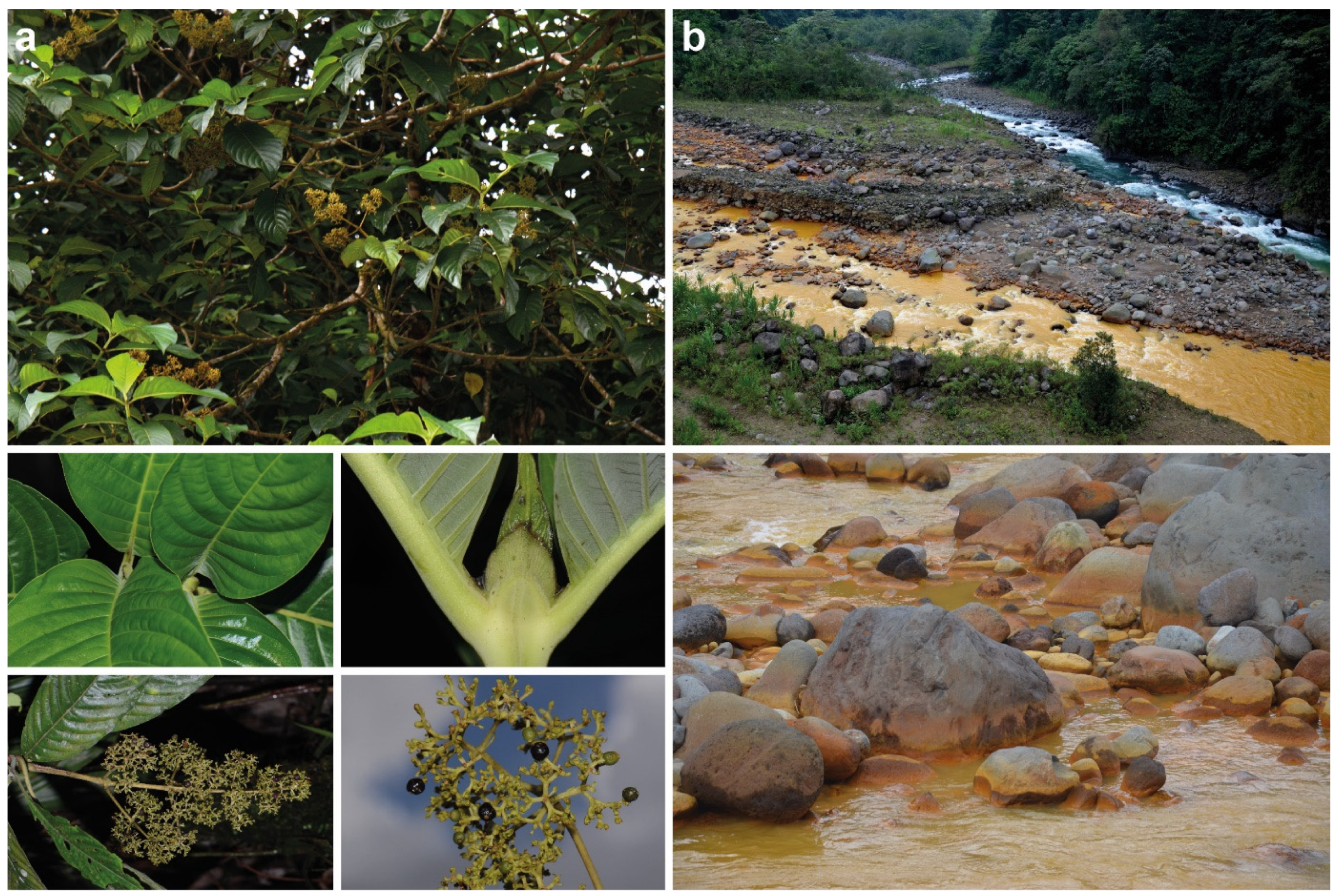 Molecules 27 07284 g001