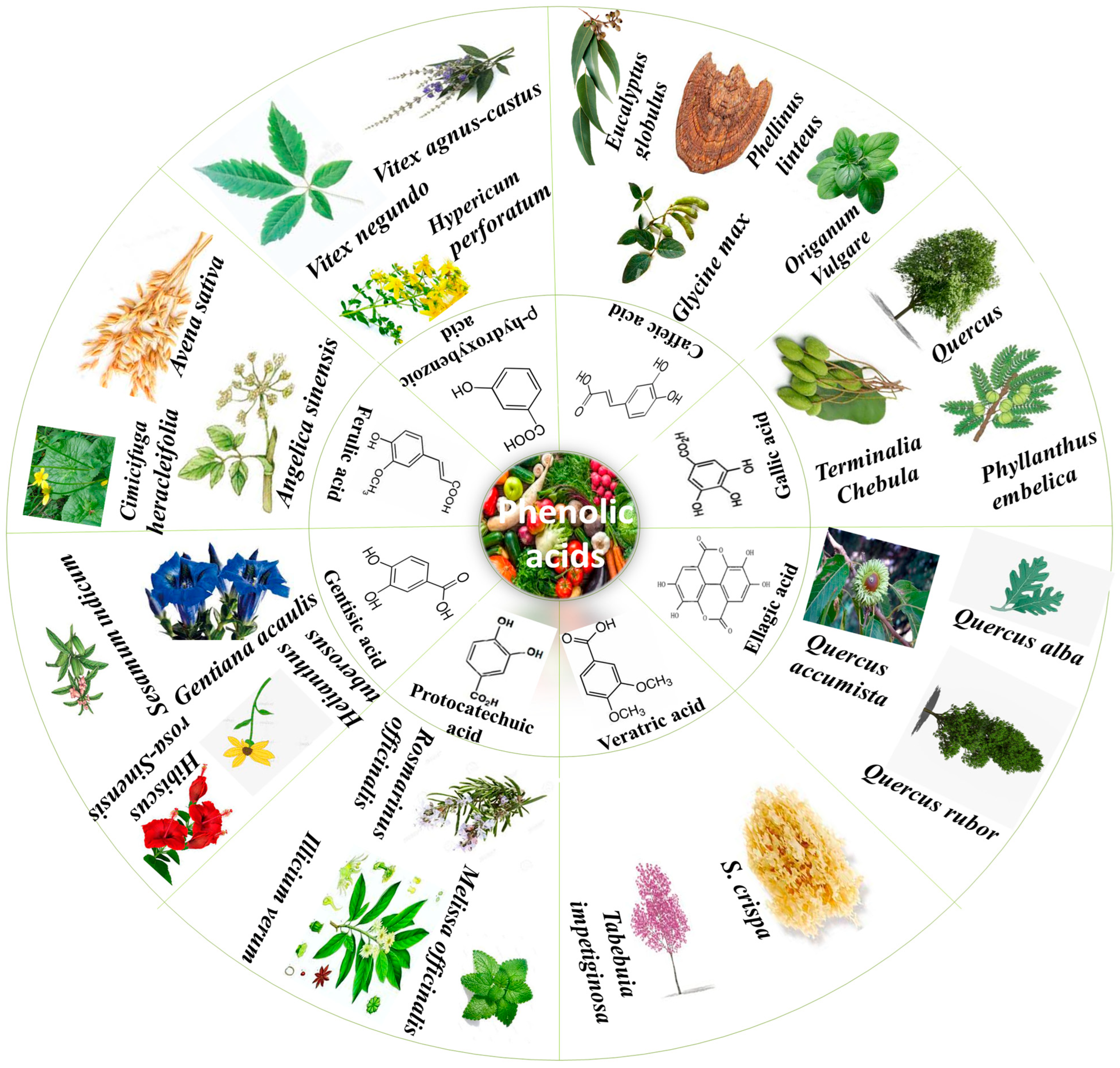 Molecules 27 07286 g001