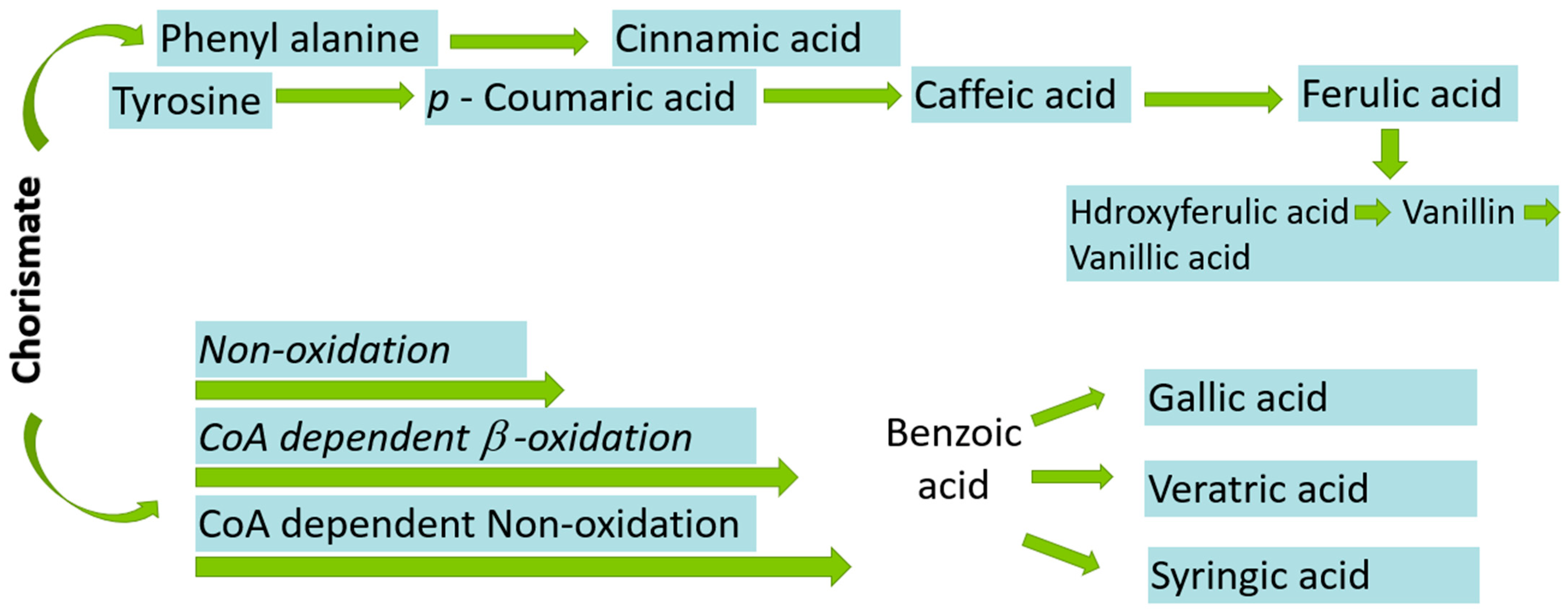 Molecules 27 07286 g005
