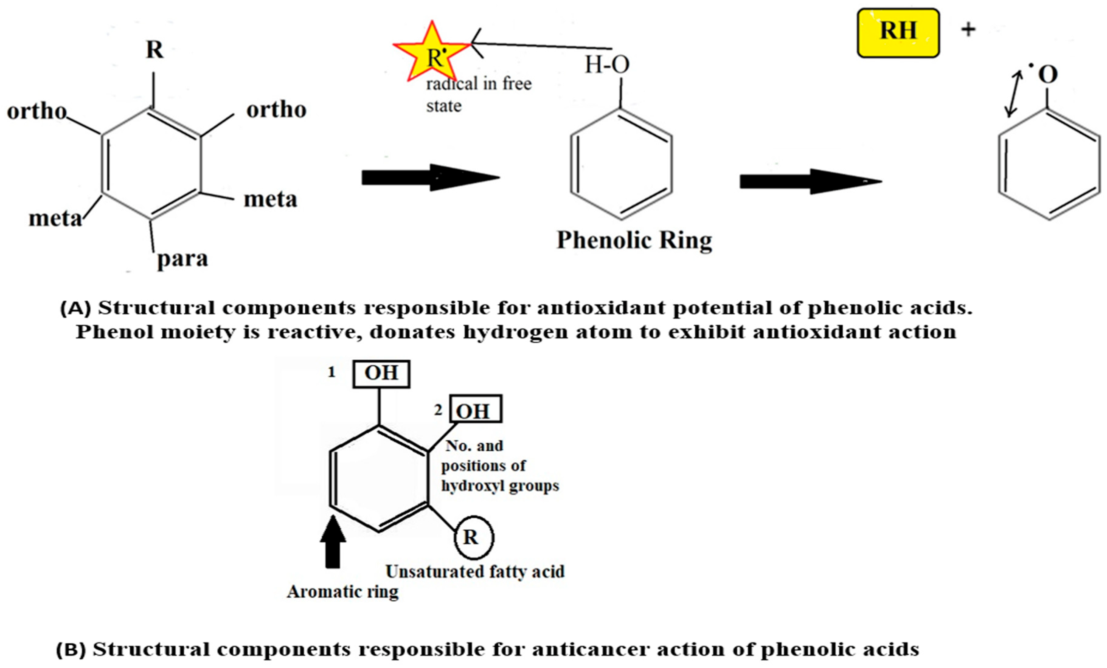 Molecules 27 07286 g006