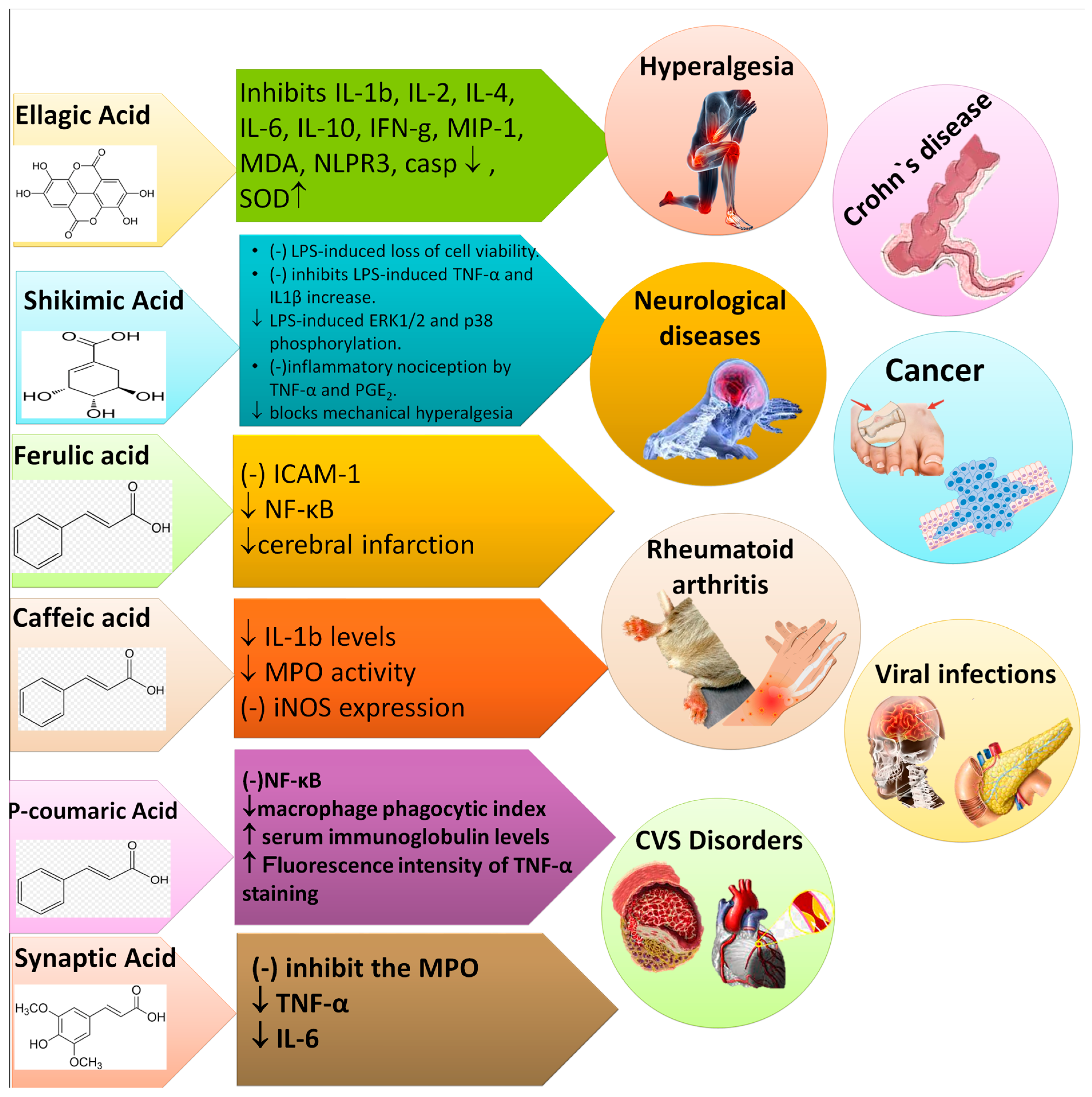 Molecules 27 07286 g009