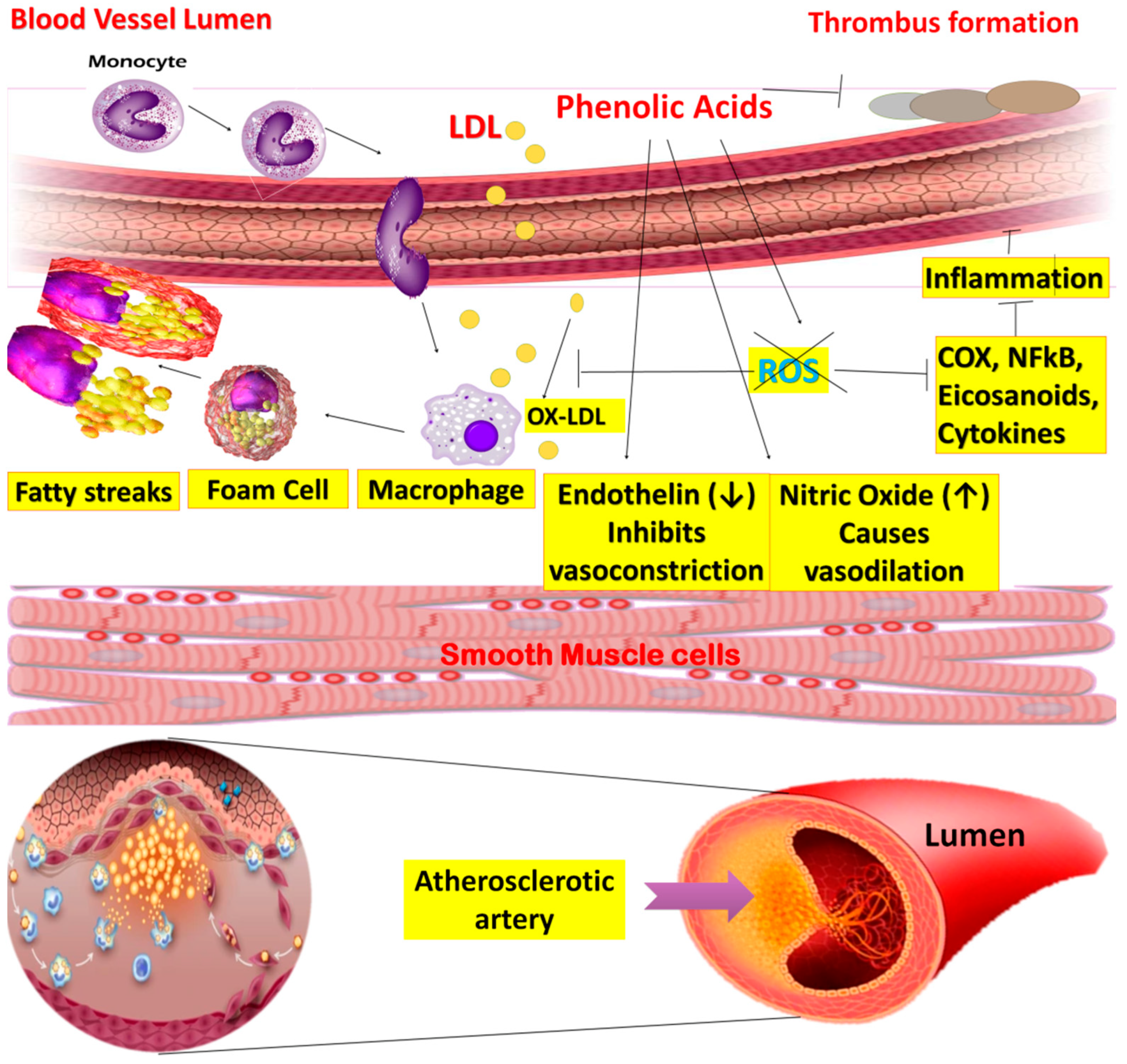 Molecules 27 07286 g010