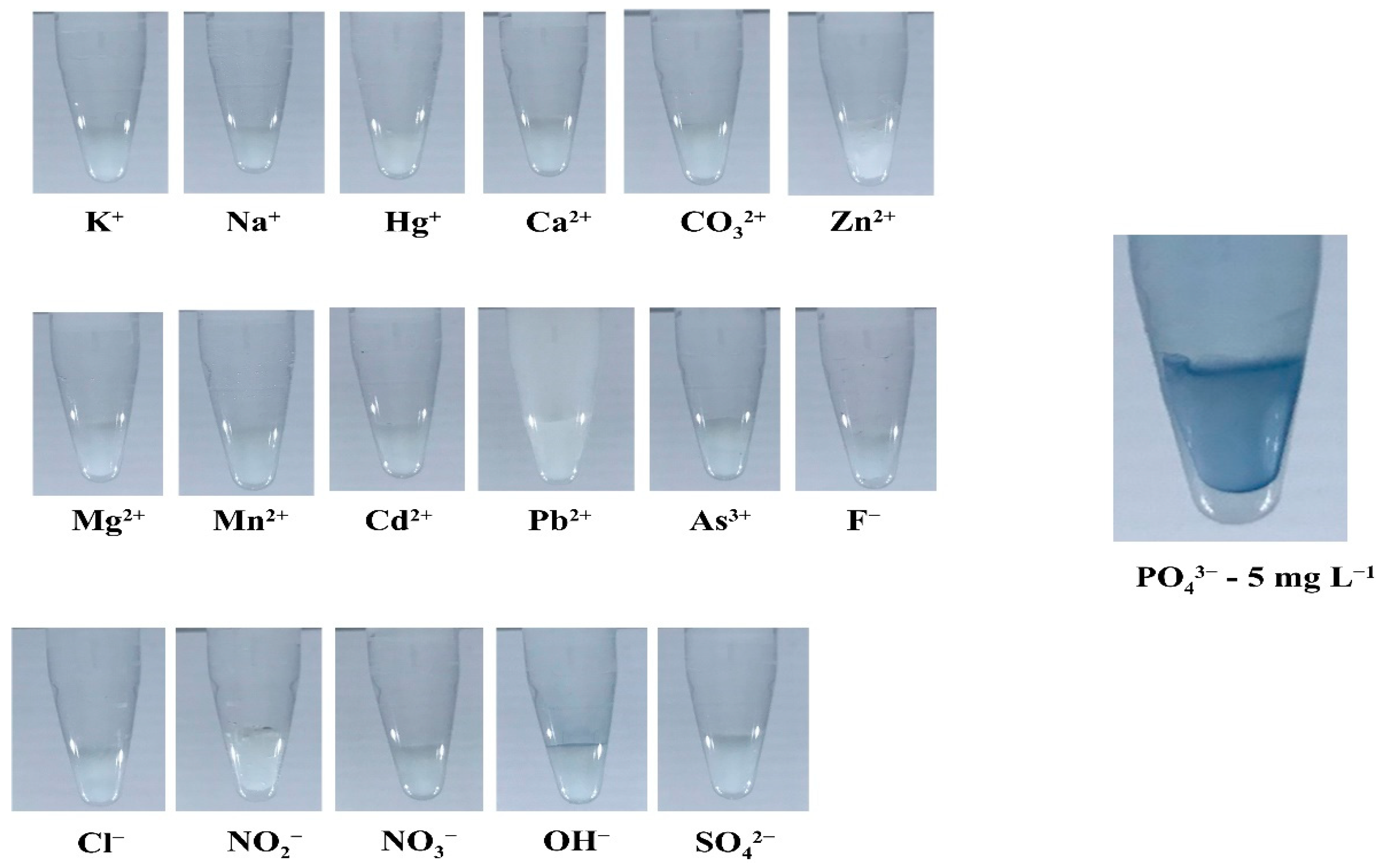 Molecules 27 07287 g006