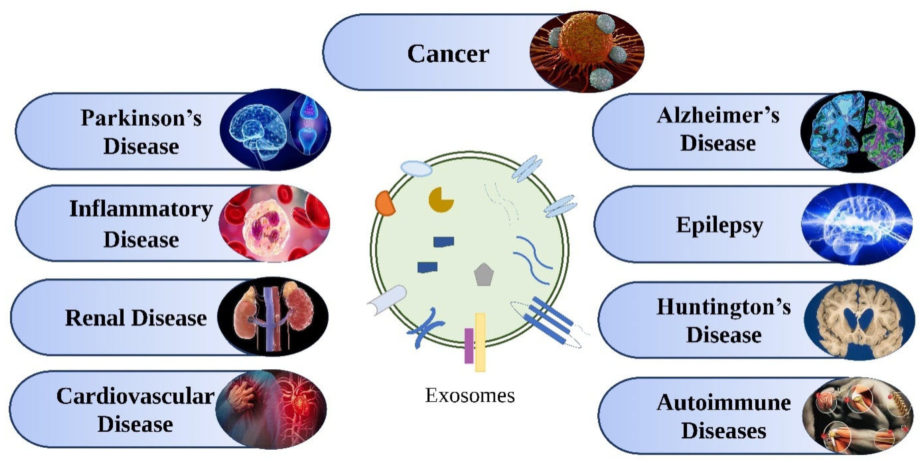 Molecules 27 07289 g004