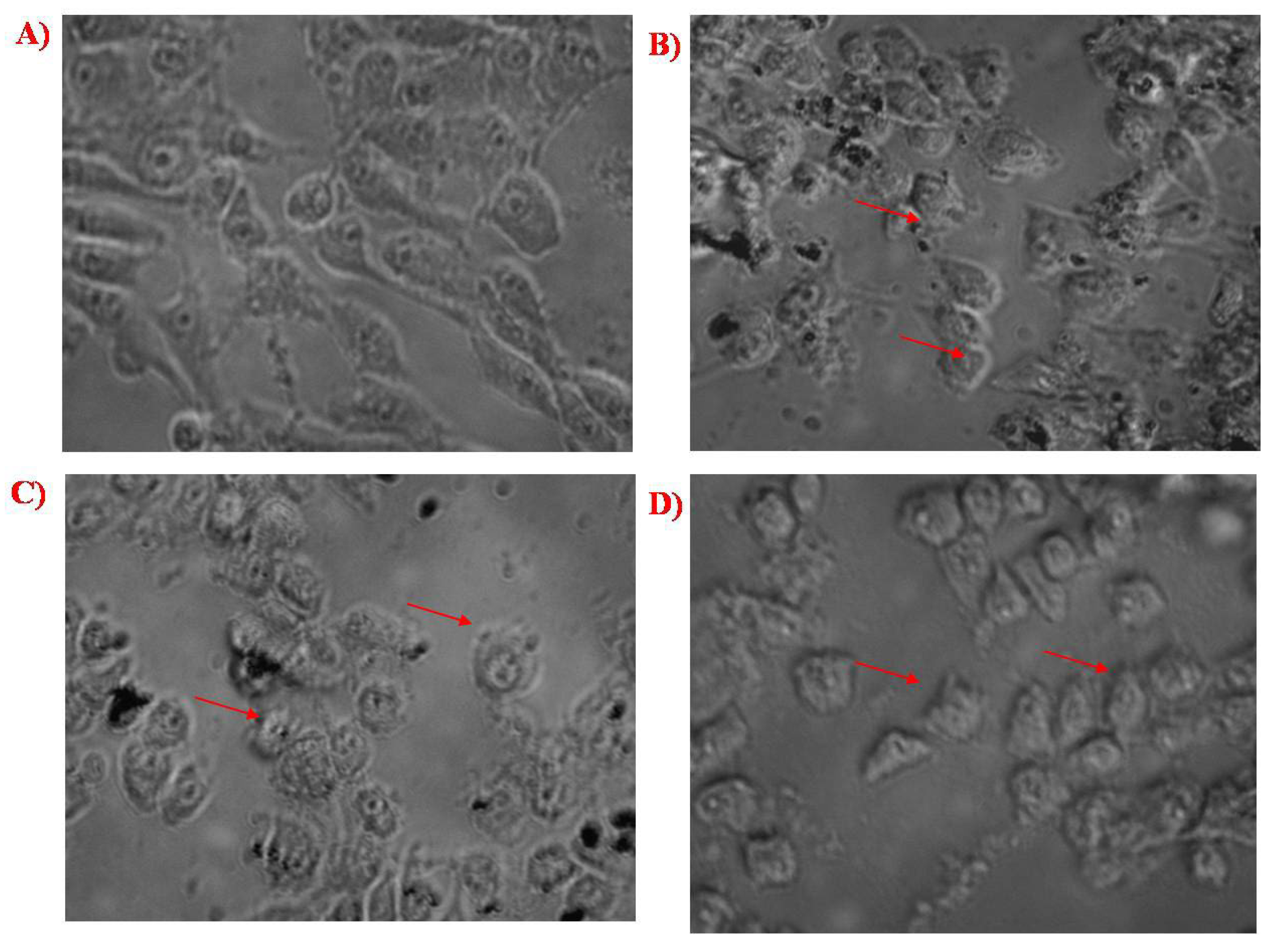 Molecules 27 07290 g009