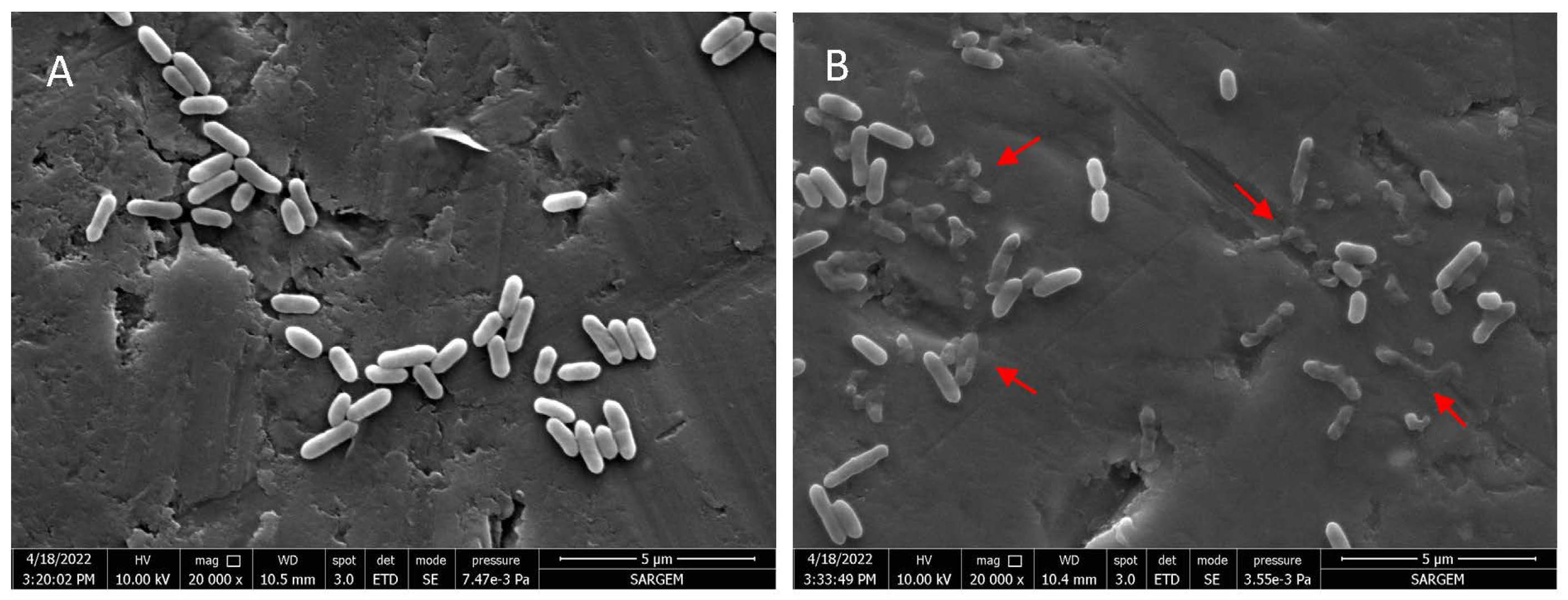 Molecules 27 07298 g002 Molecules 27 07298 g002