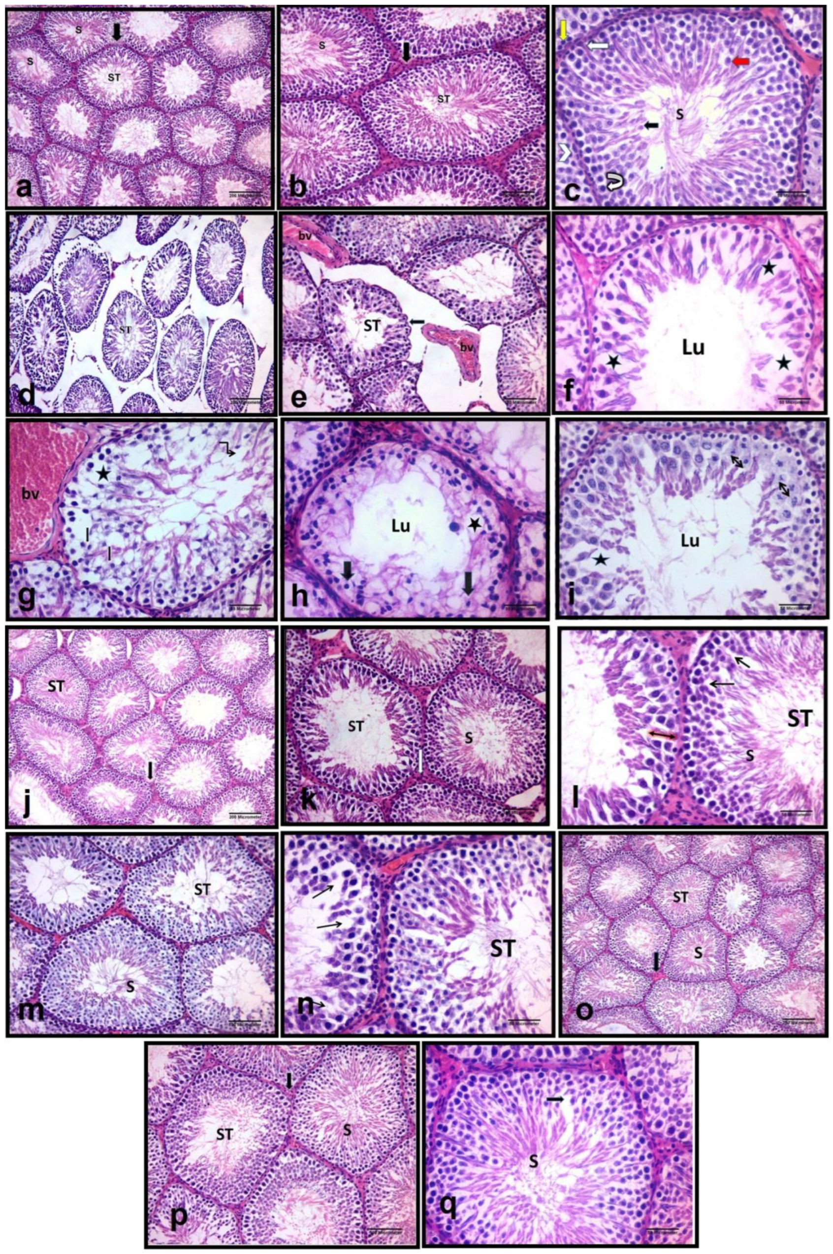 Molecules 27 07299 g001