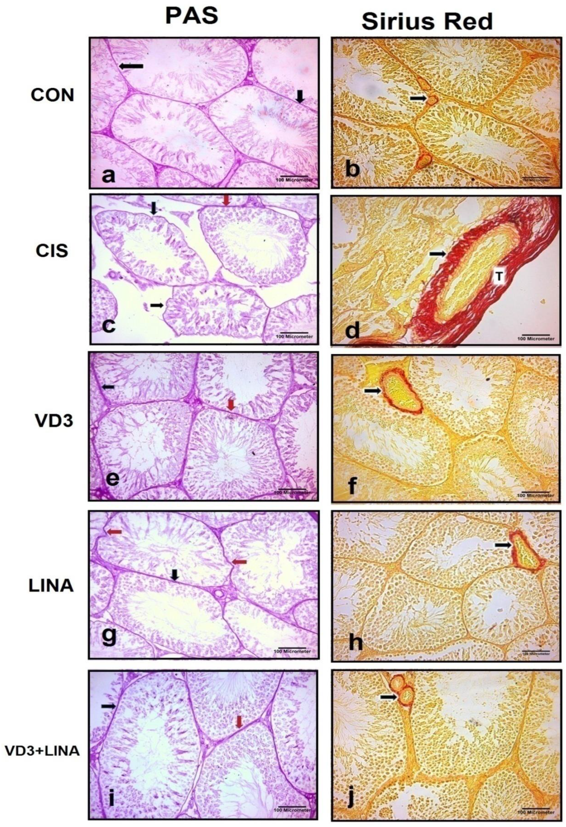 Molecules 27 07299 g002