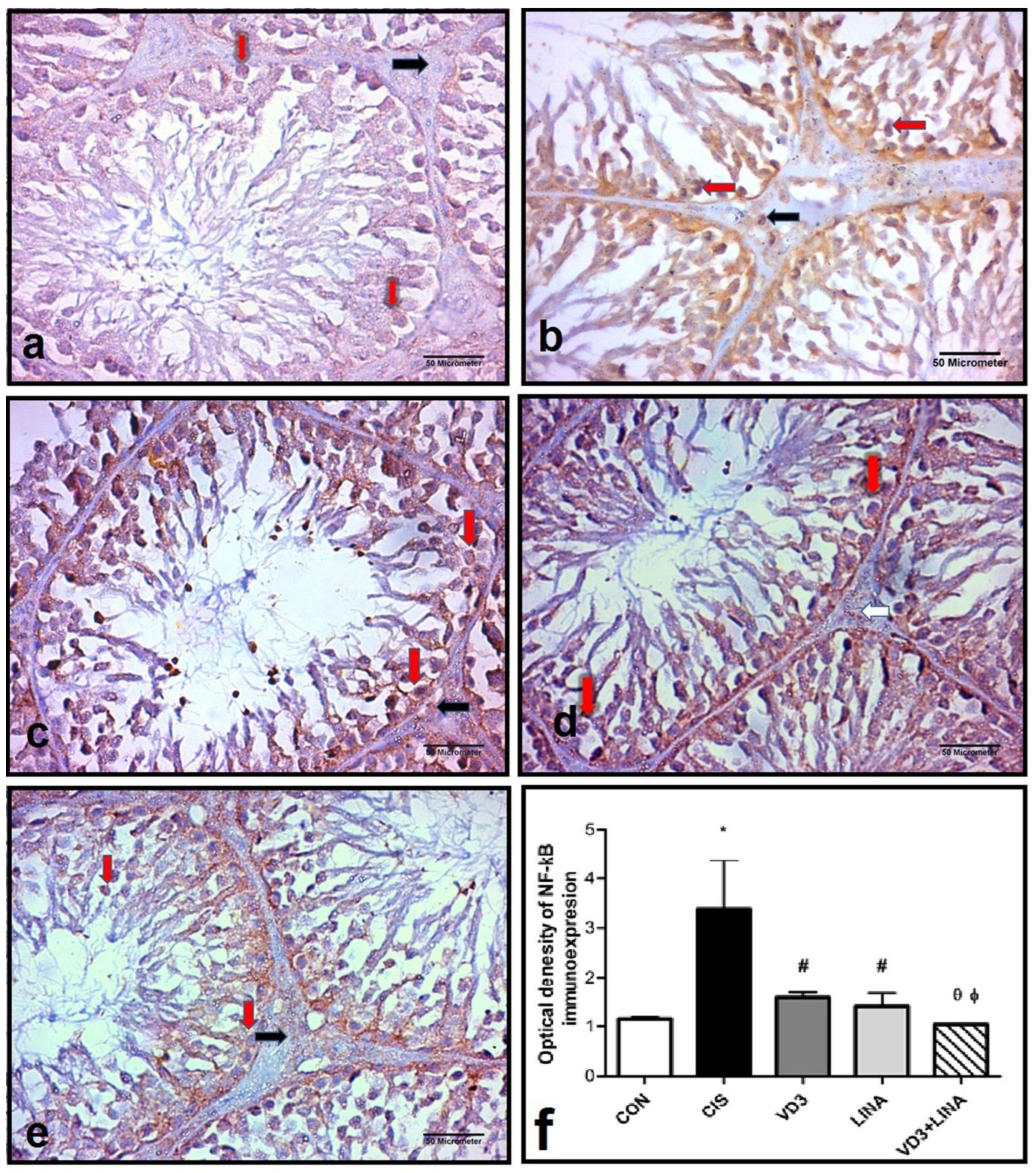 Molecules 27 07299 g005
