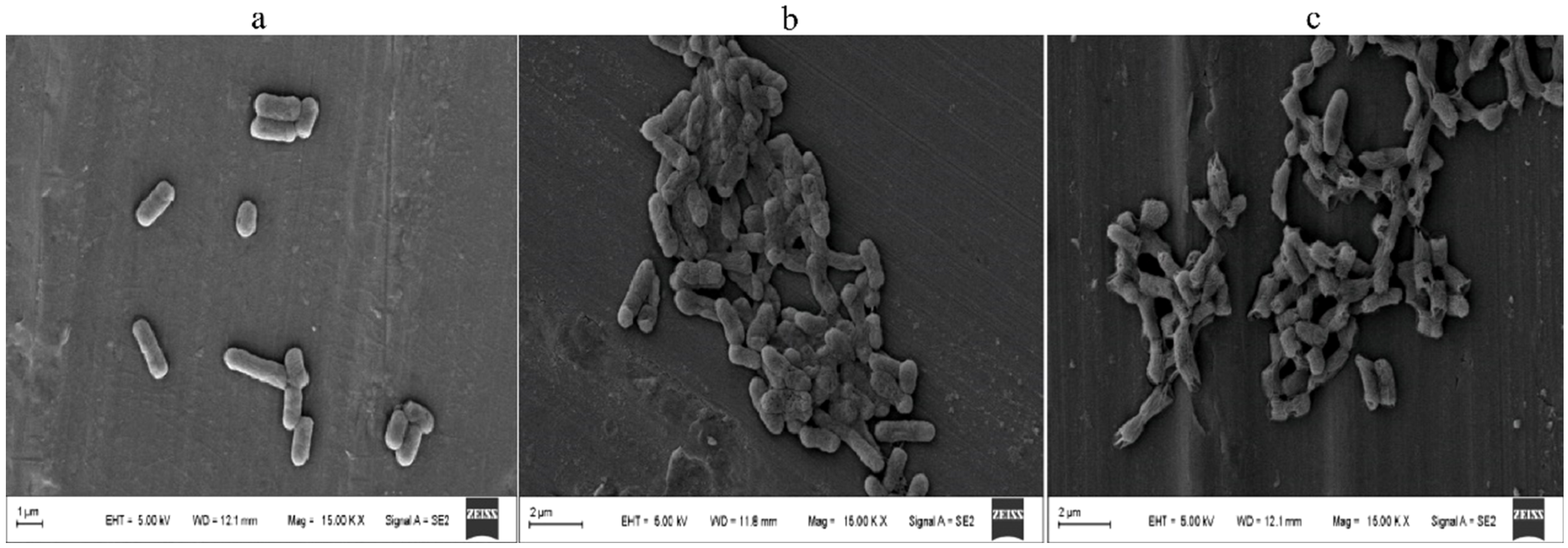 Molecules 27 07300 g010