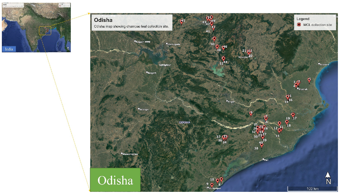 Molecules 27 07302 g009