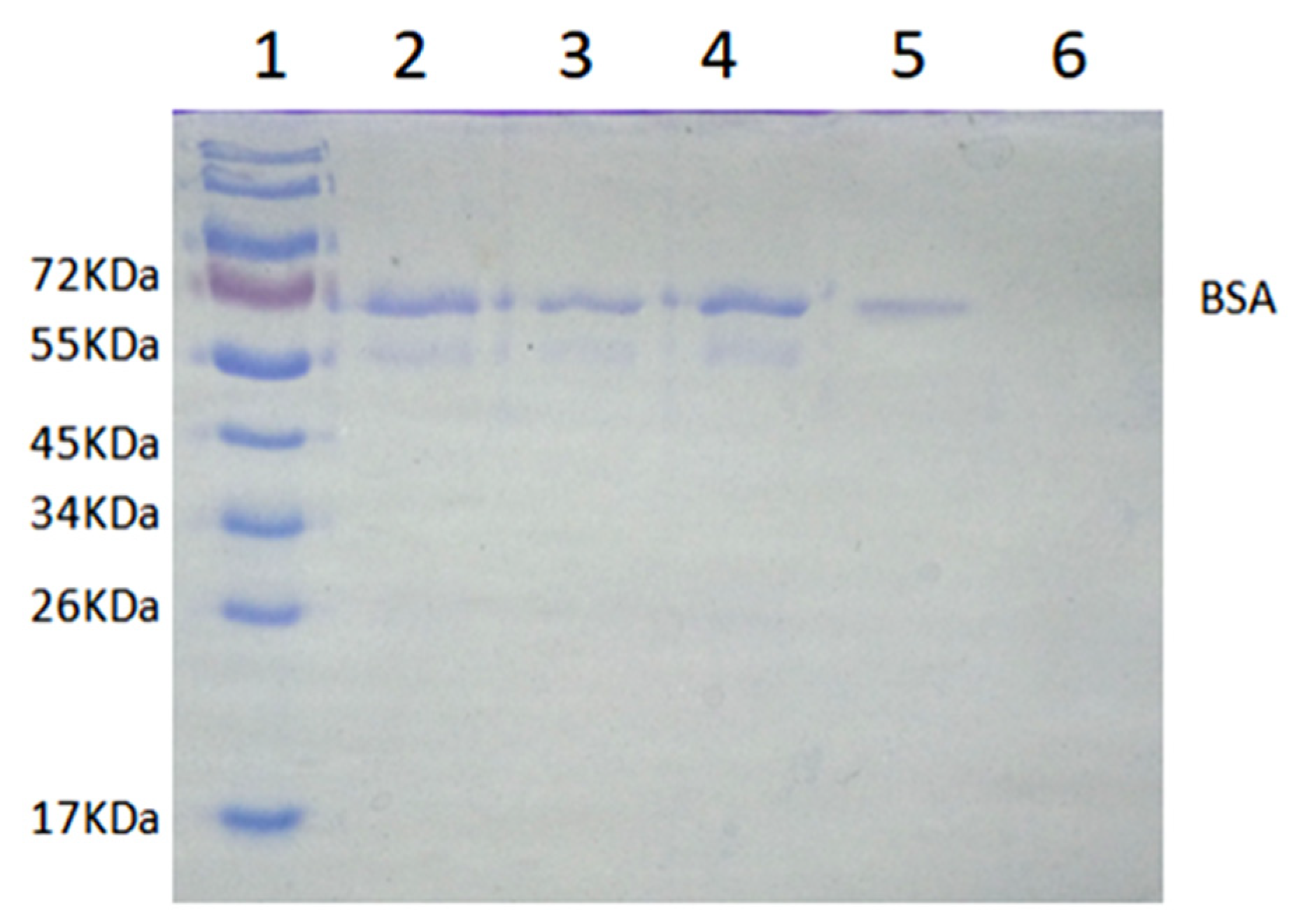 Molecules 27 07304 g011