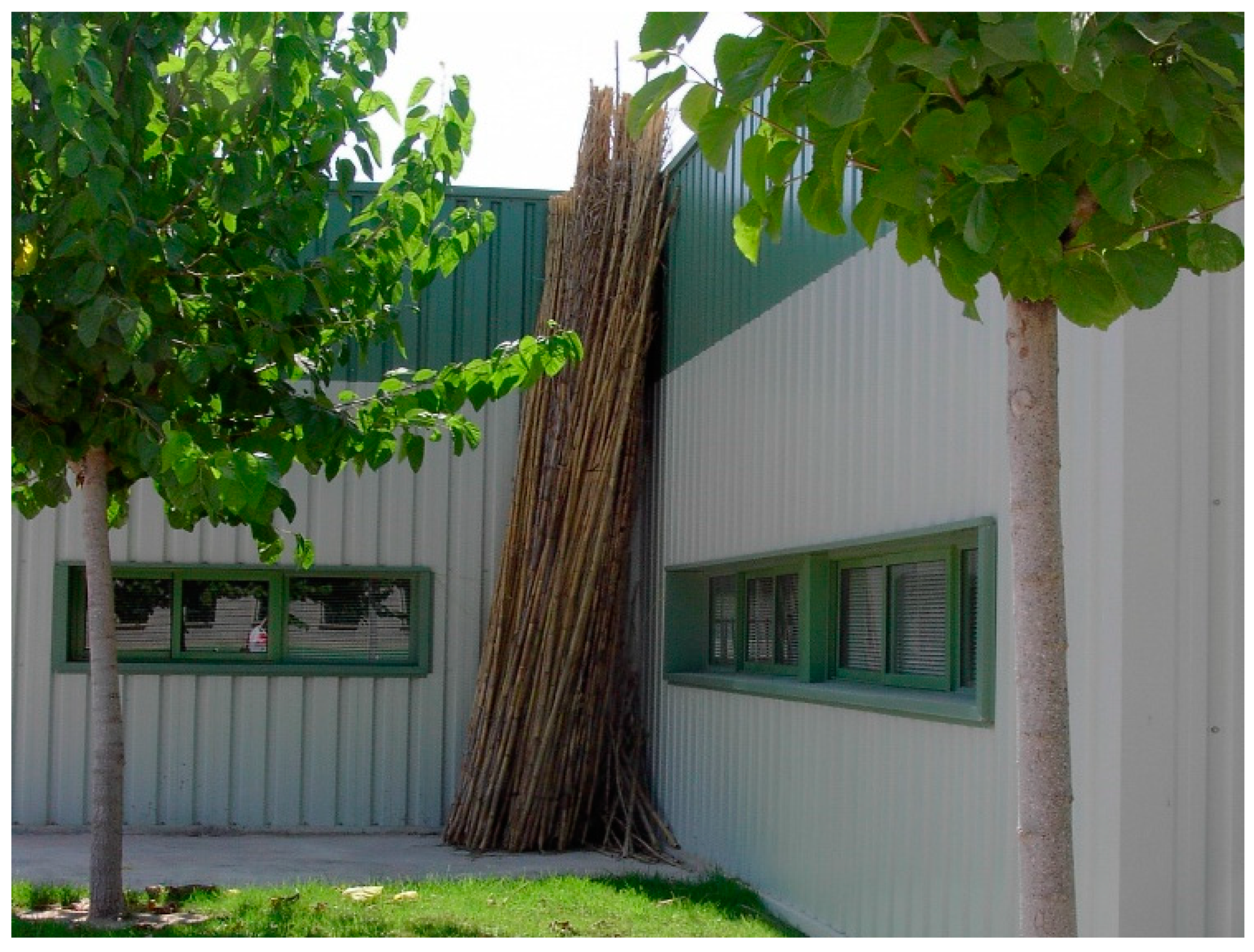 Molecules 27 07305 g001