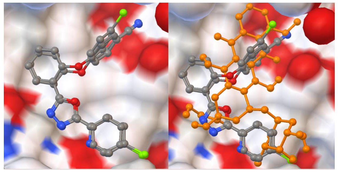 Molecules 27 07309 g007 Molecules 27 07309 g007