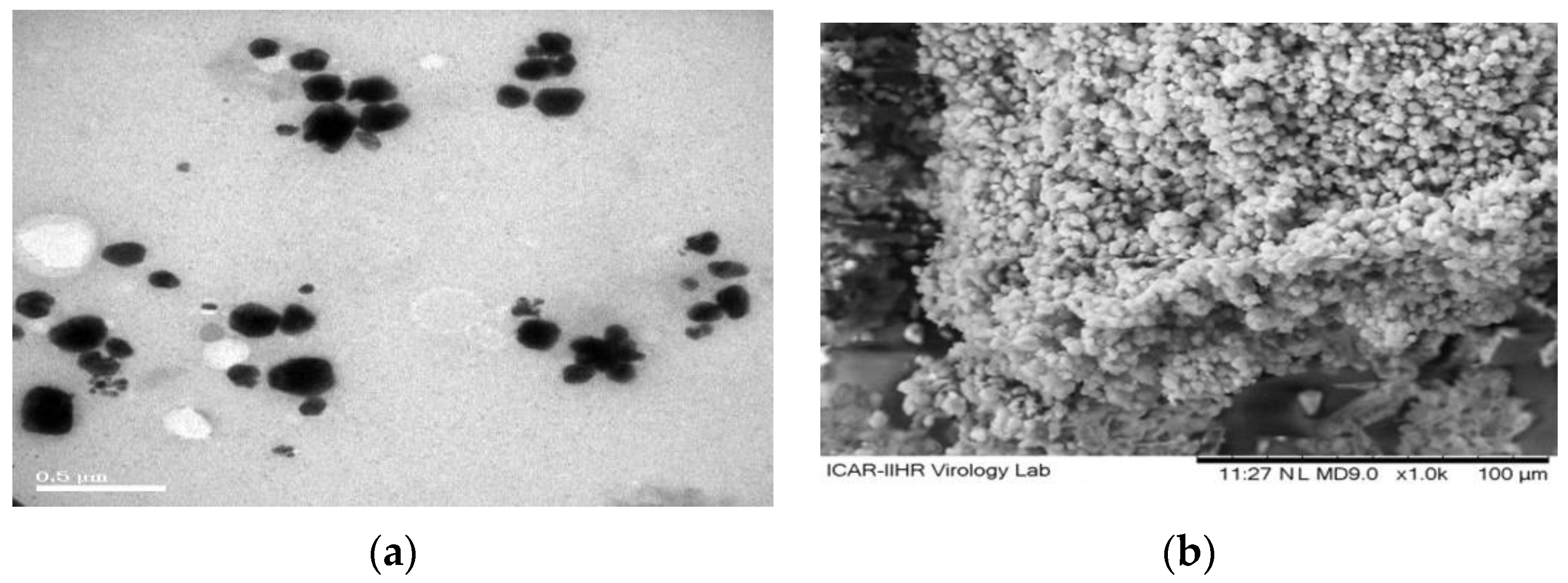Molecules 27 07312 g001