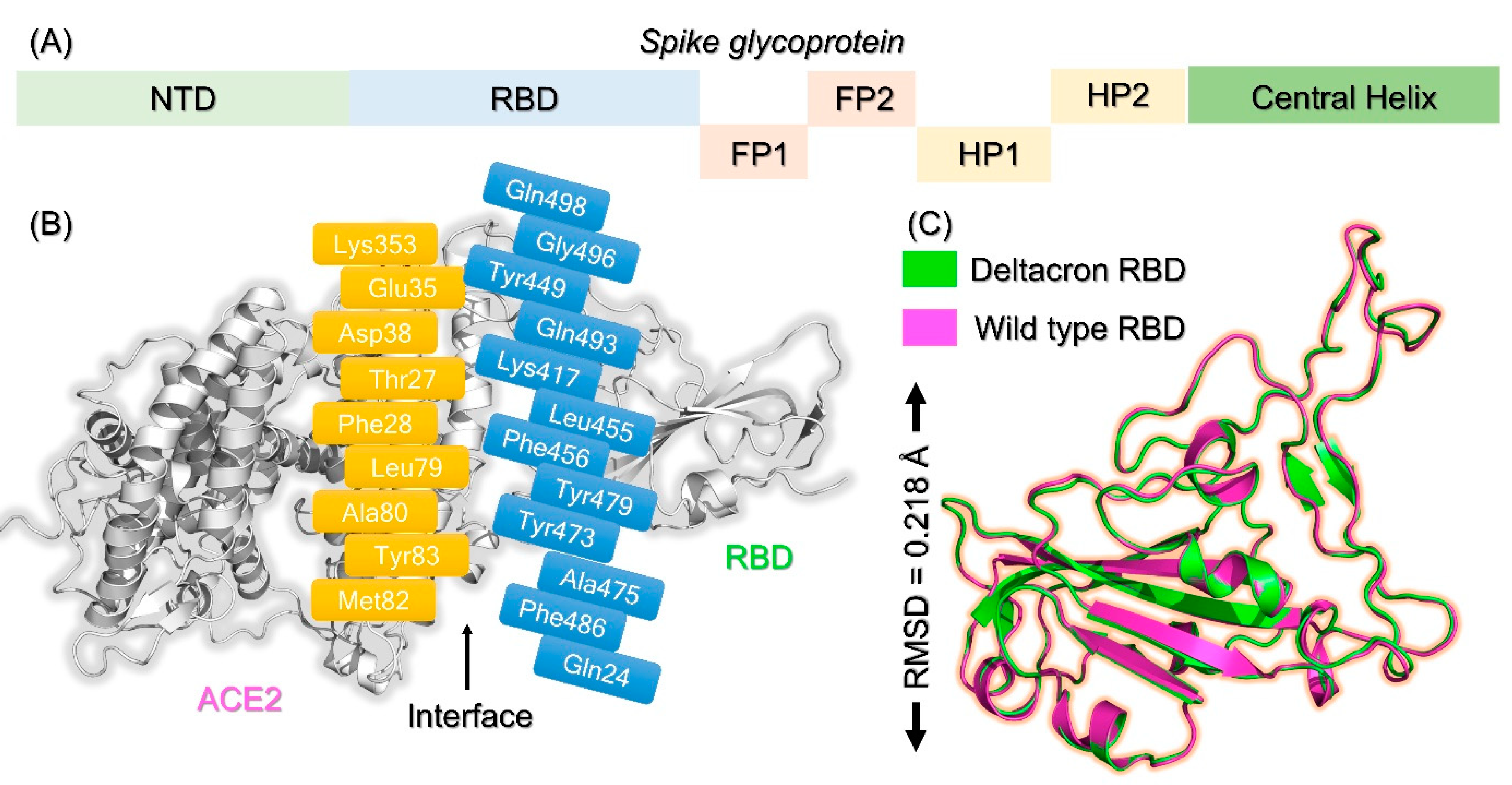 Molecules 27 07317 g002