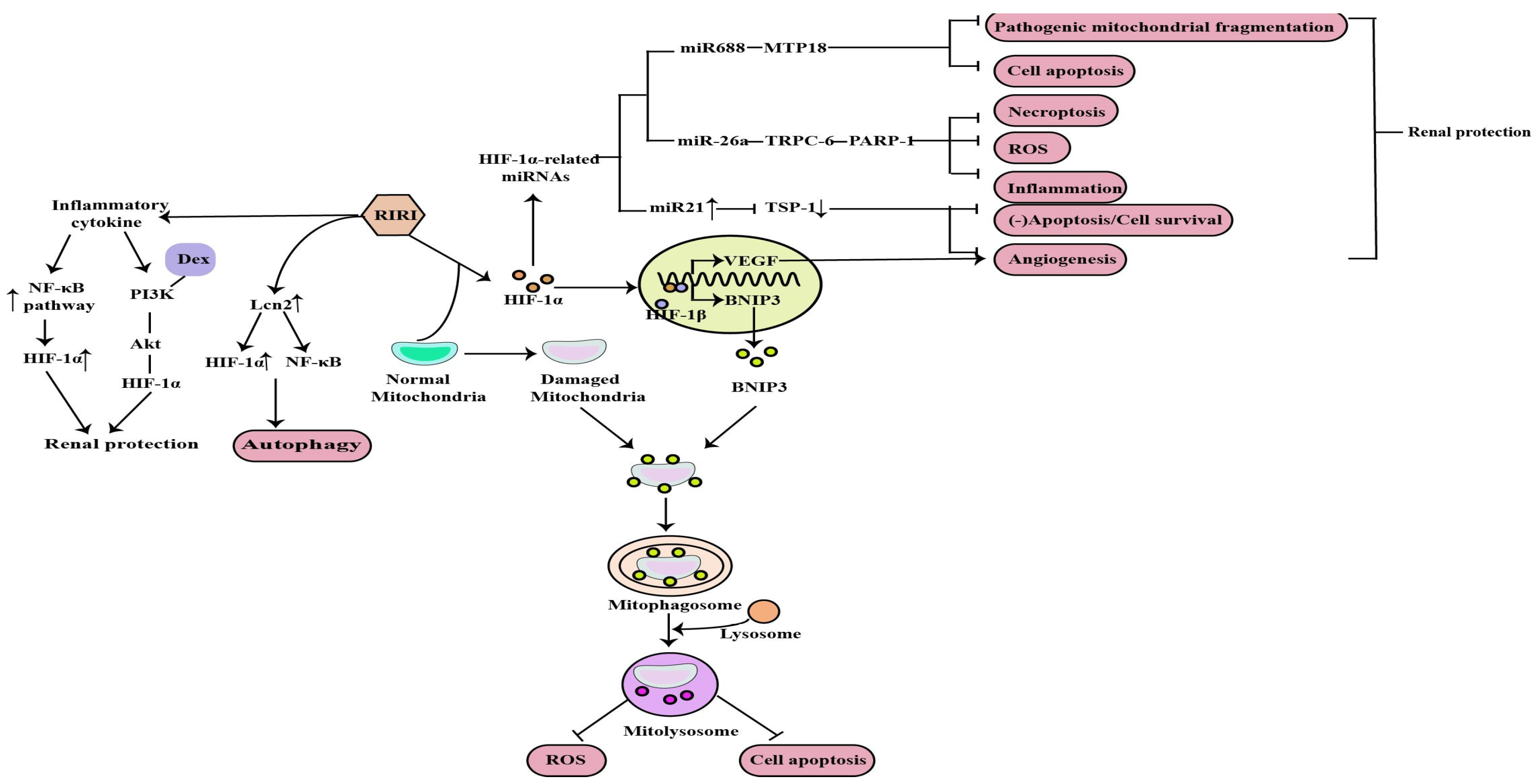 Molecules 27 07318 g002