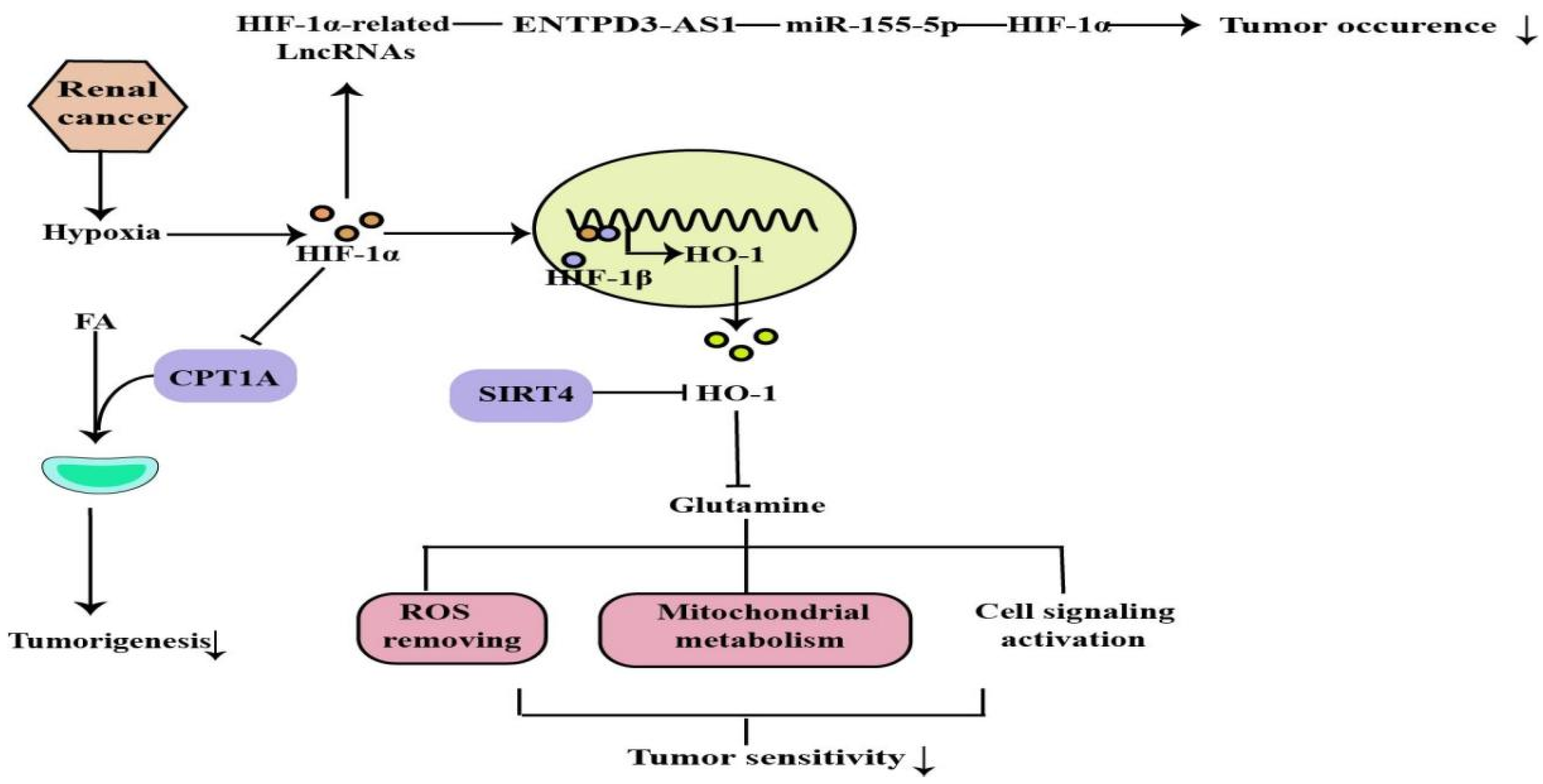 Molecules 27 07318 g005