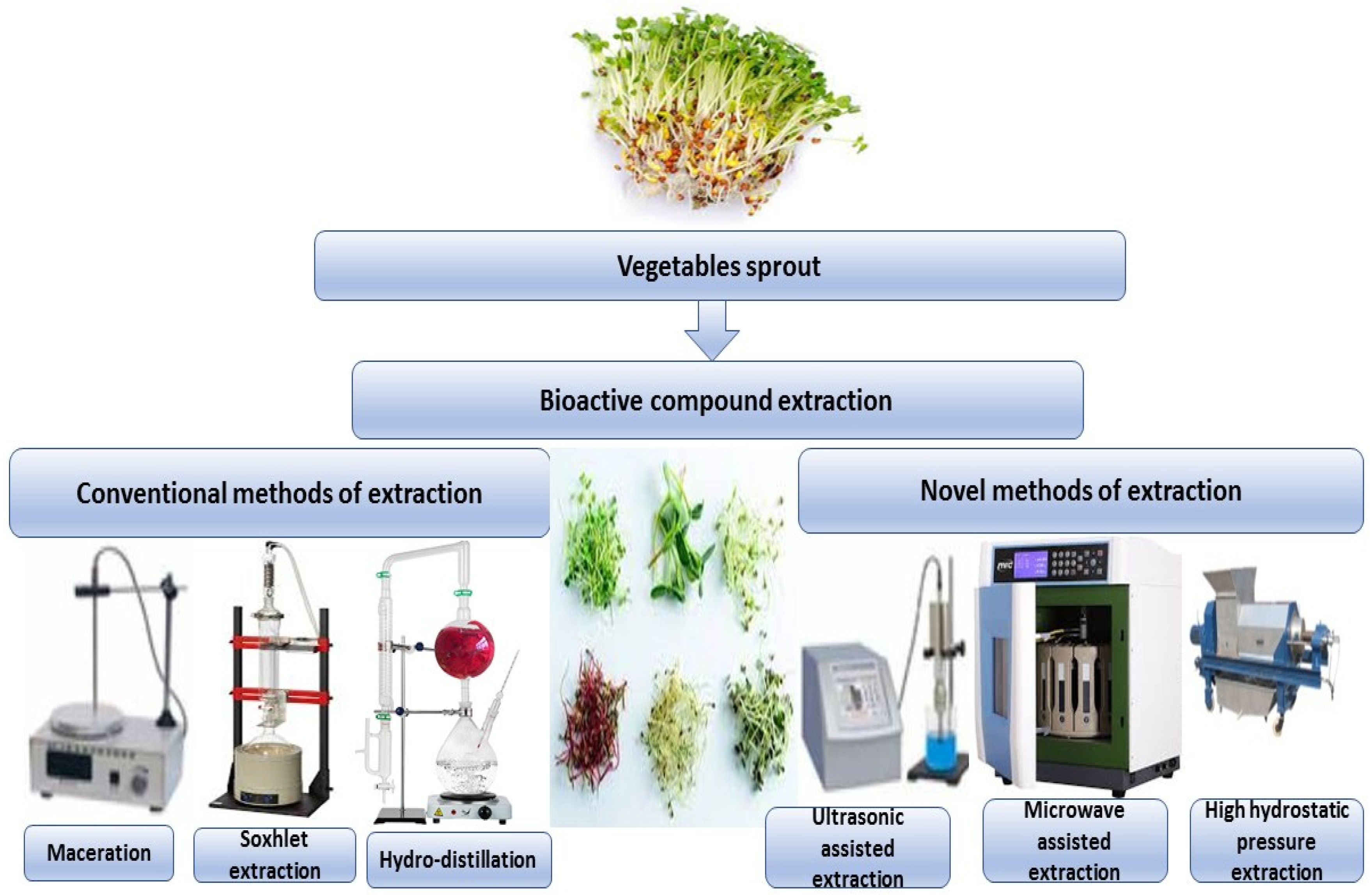 Molecules 27 07320 g002