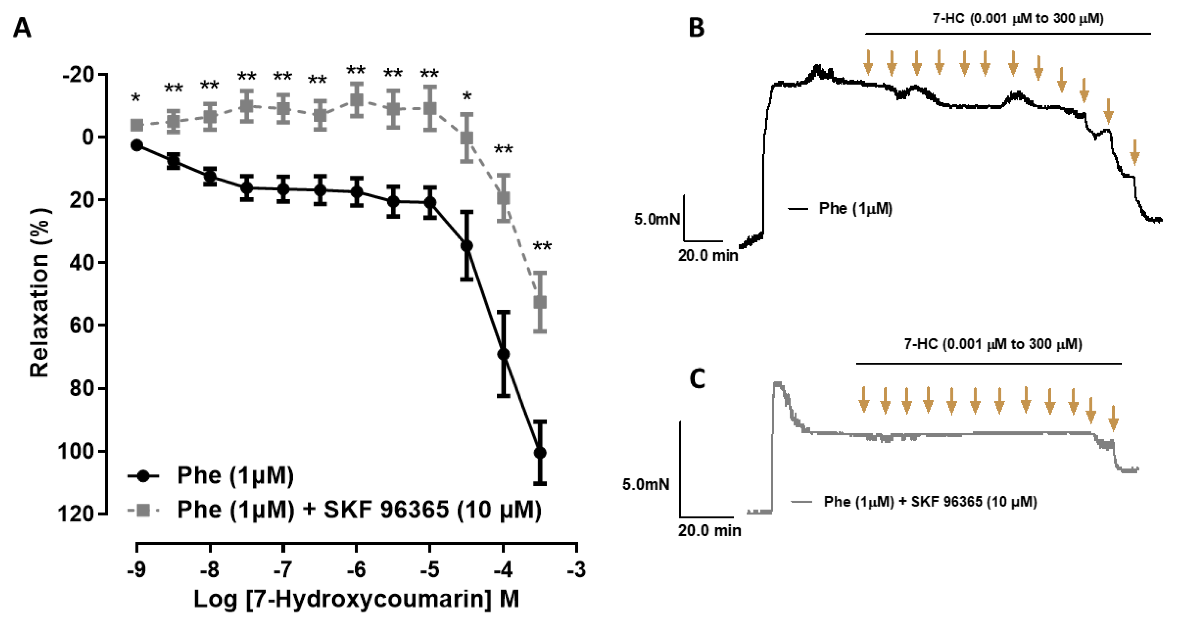Molecules 27 07324 g004 Molecules 27 07324 g004
