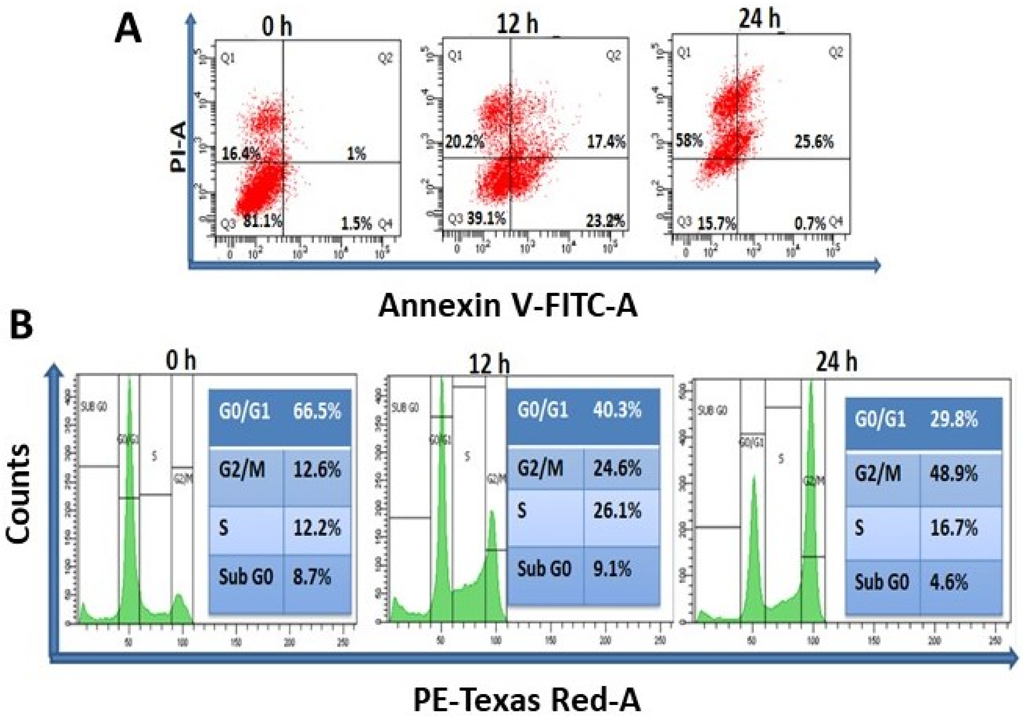 Molecules 27 07326 g004